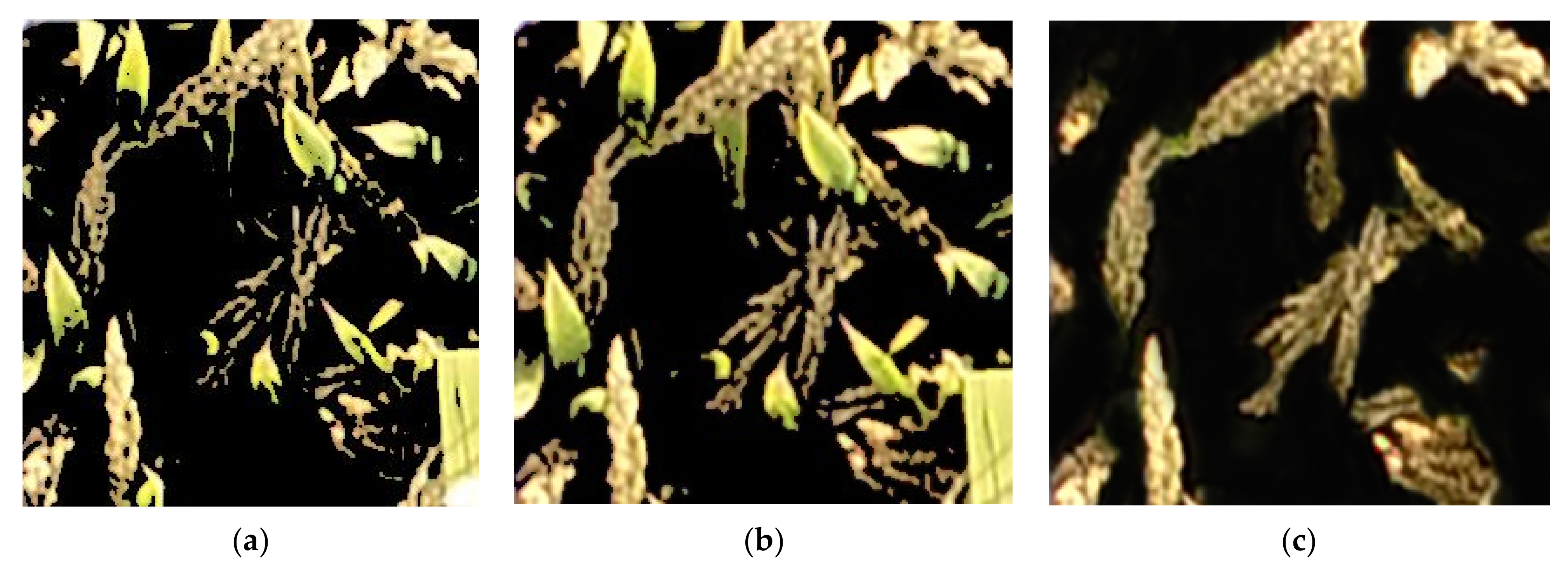 Remotesensing 14 00046 g007 550