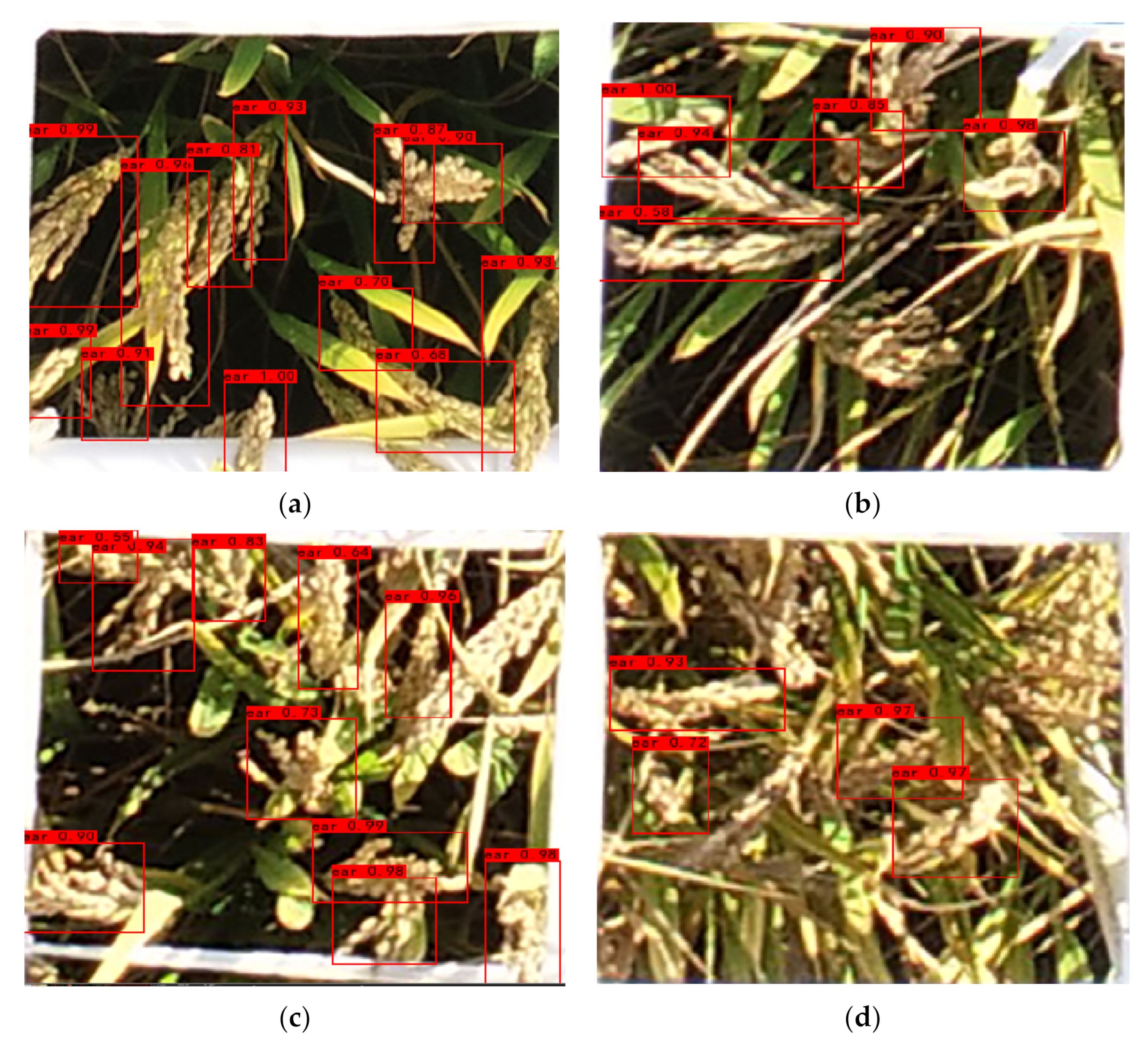 Remotesensing 14 00046 g011 550