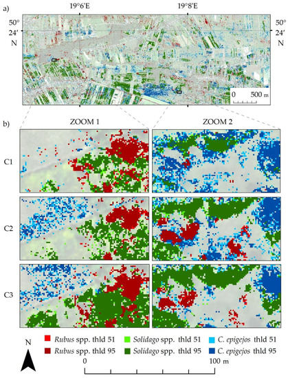 Mapping Invasive Plant Species with Hyperspectral Data Based on ...