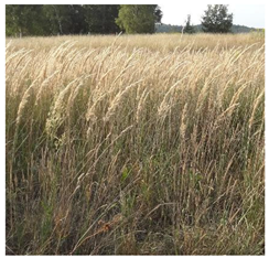 Remotesensing 14 00064 i001