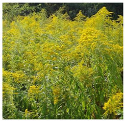 Remotesensing 14 00064 i003