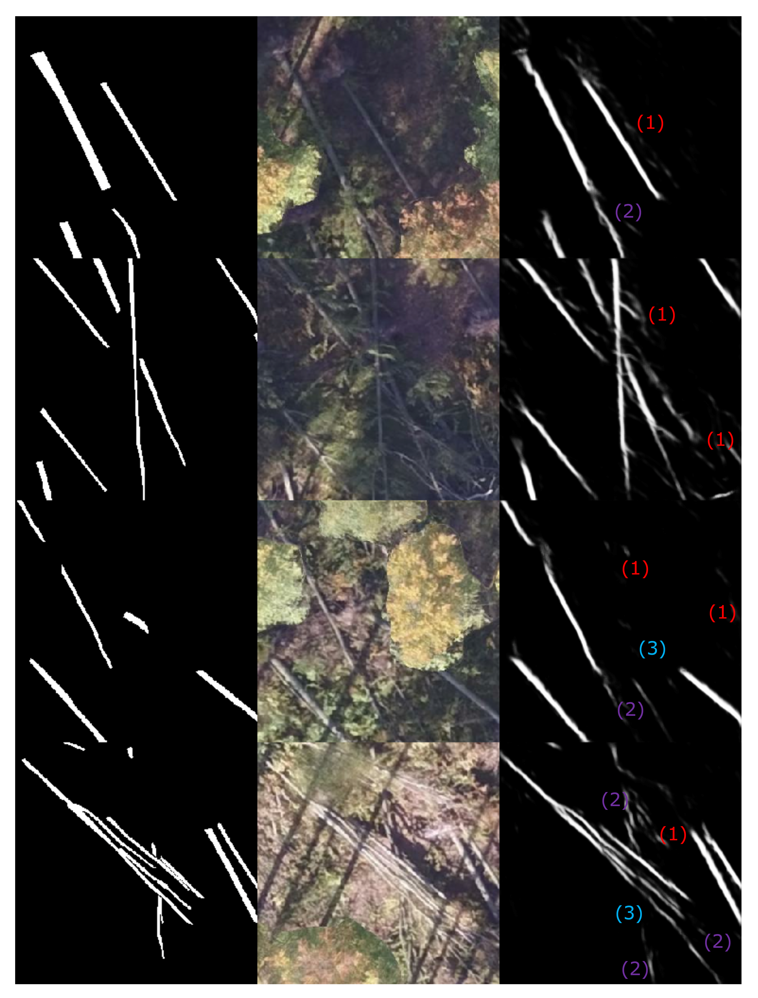 Remotesensing 14 00075 g007