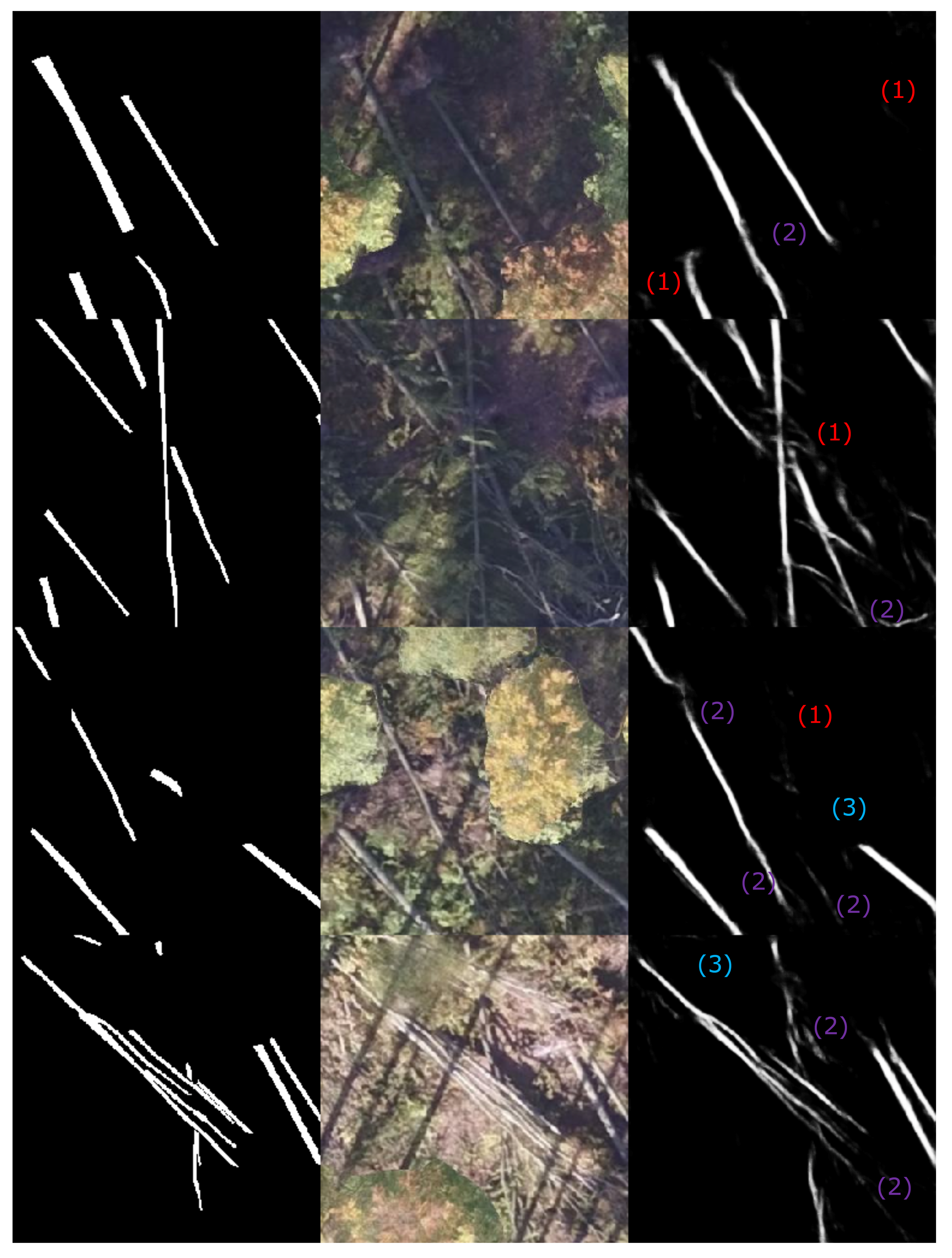 Remotesensing 14 00075 g009