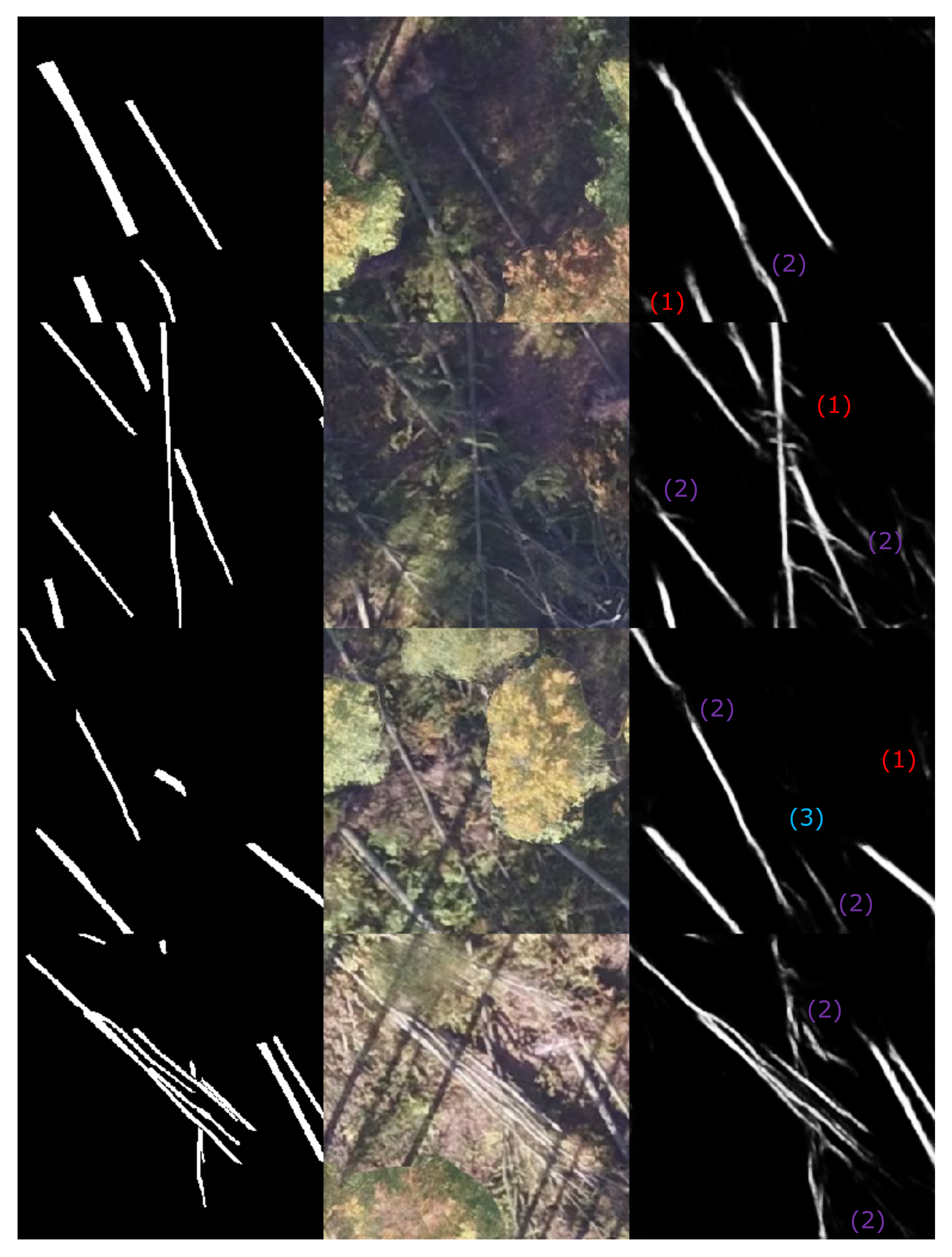 Remotesensing 14 00075 g010