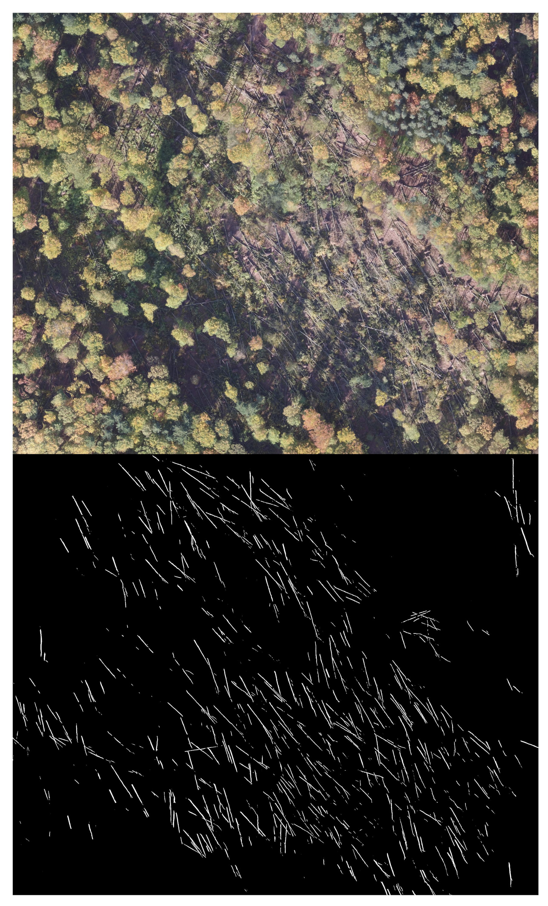 Remotesensing 14 00075 g011