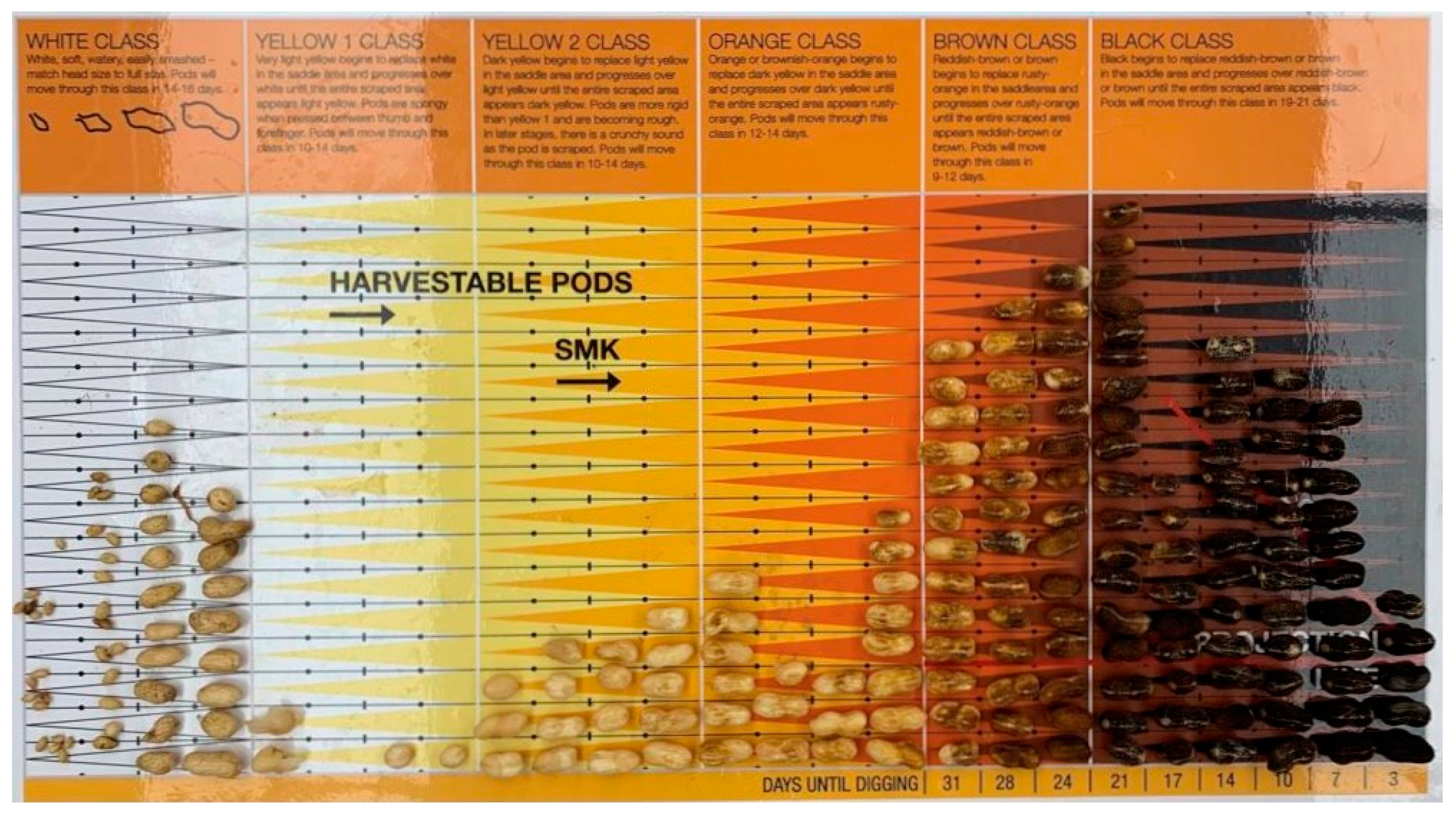 Remotesensing 14 00093 g003 550