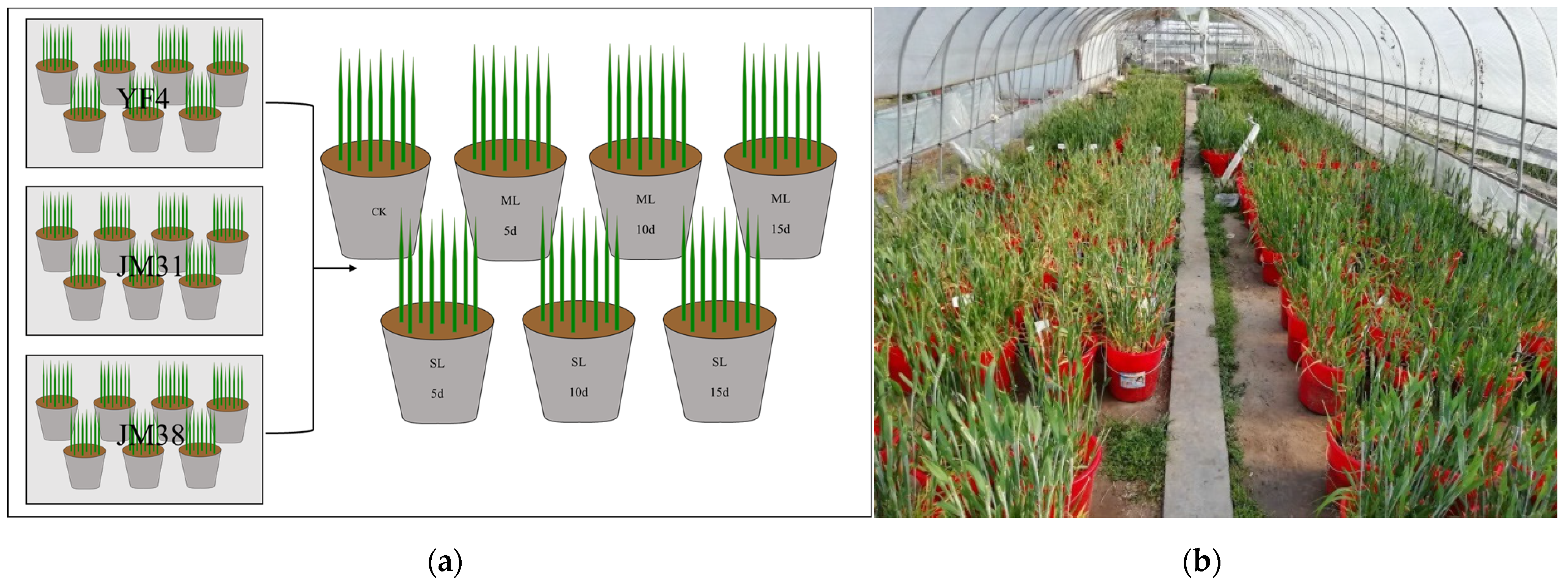 Remotesensing 14 00122 g002 Remotesensing 14 00122 g002