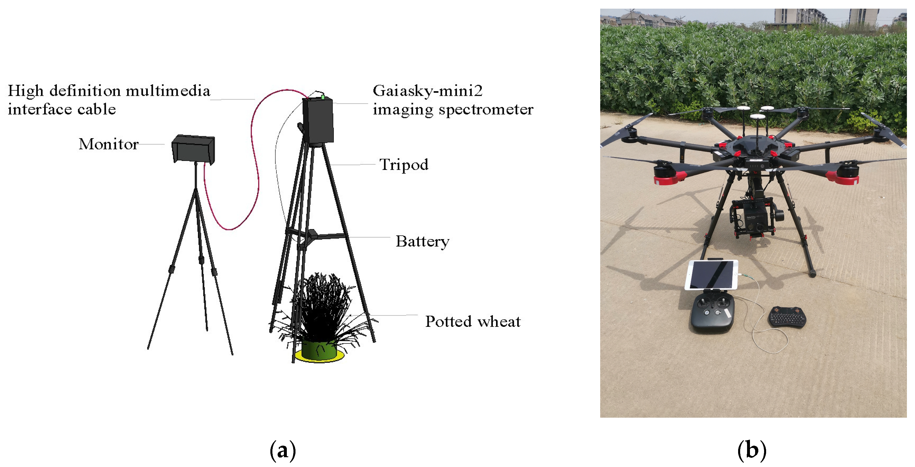 Remotesensing 14 00122 g004 Remotesensing 14 00122 g004