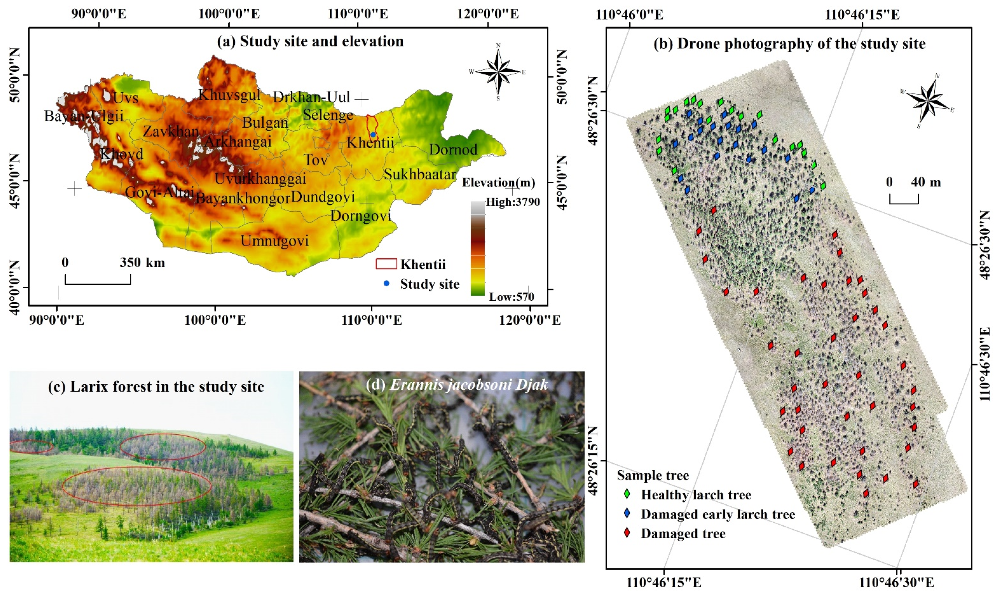 Remotesensing 14 00124 g001