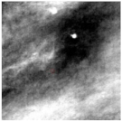 Remotesensing 14 00129 i010