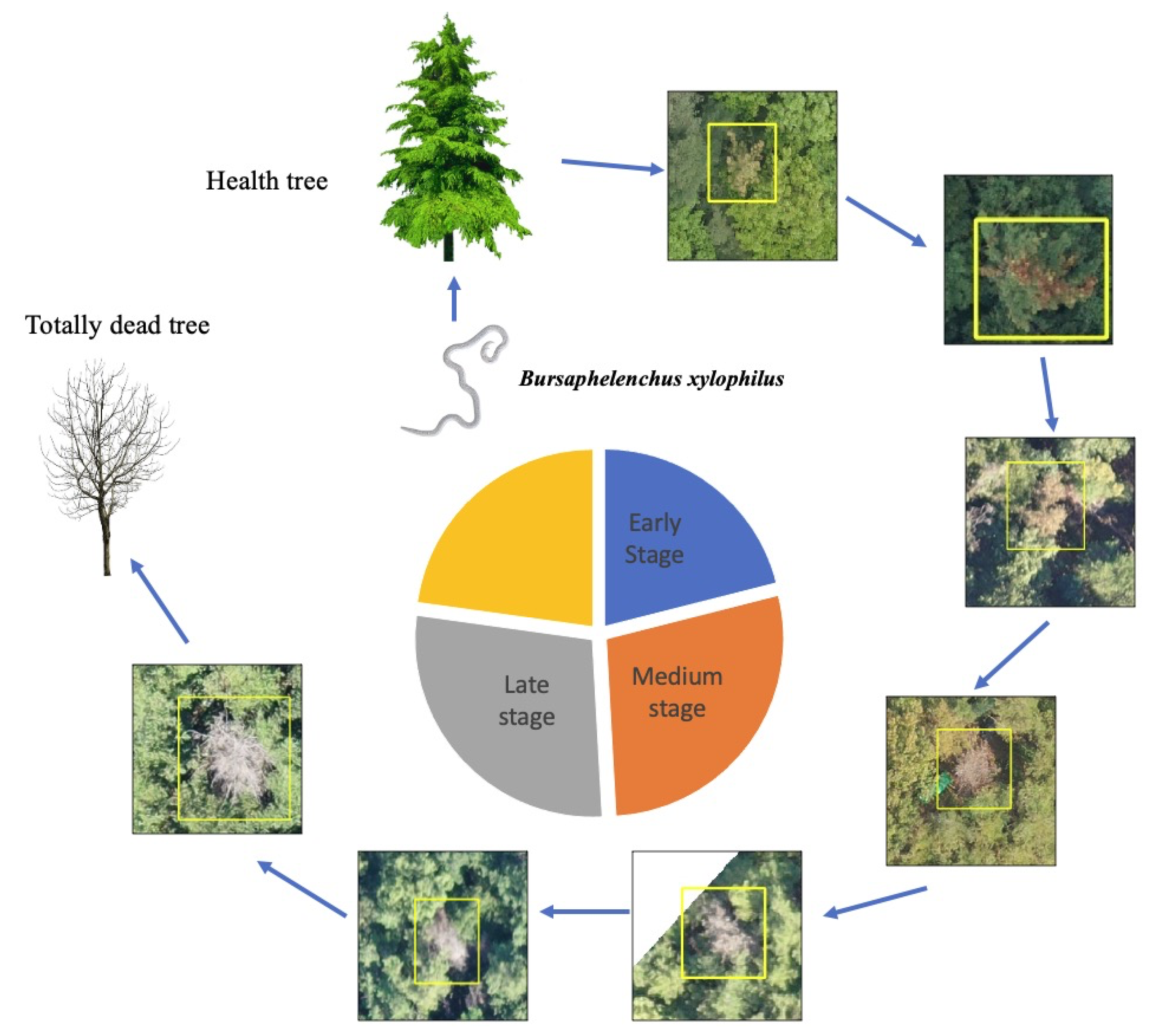Remotesensing 14 00150 g005