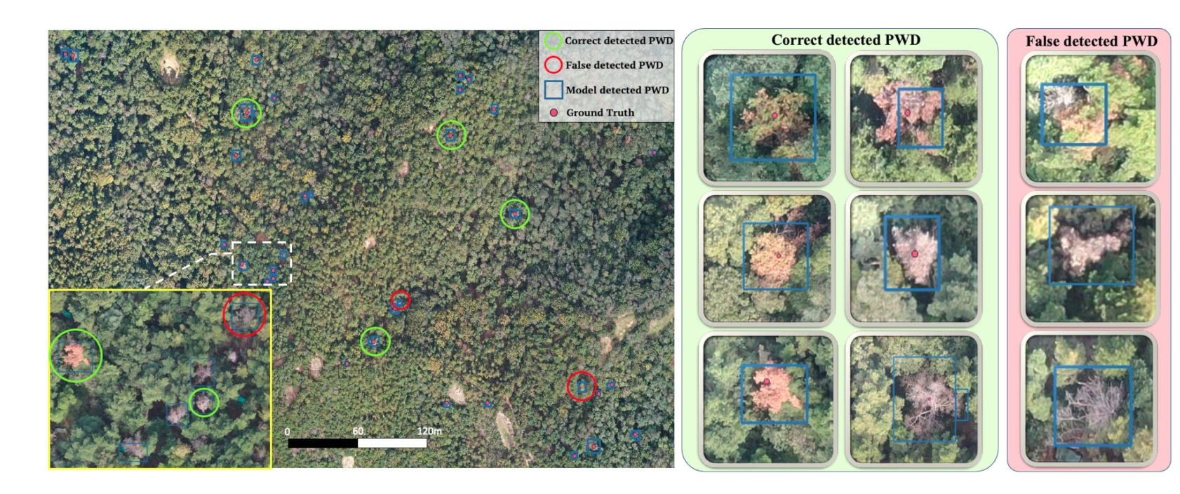 Remotesensing 14 00150 g007