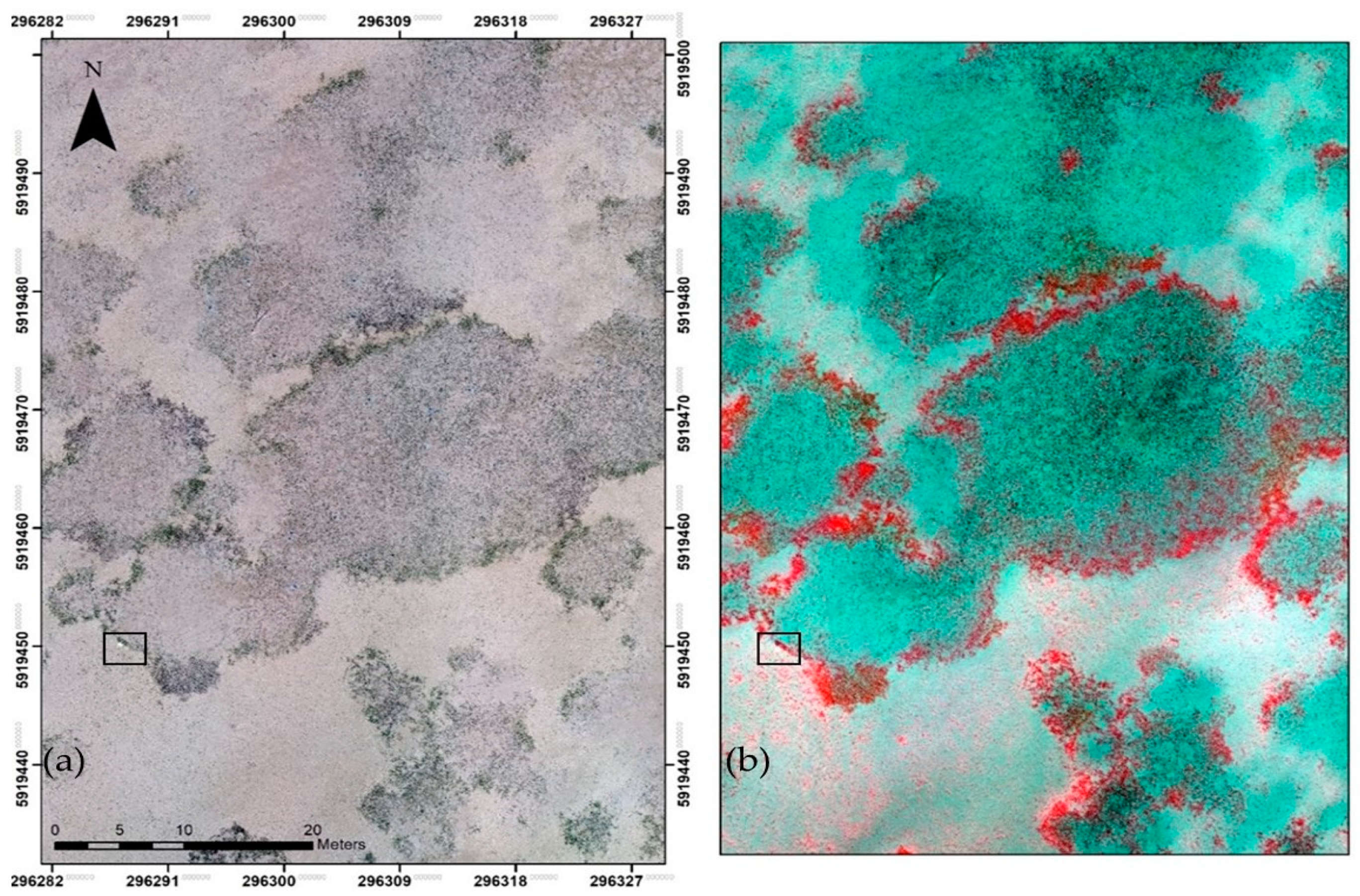 Remotesensing 14 00160 g002