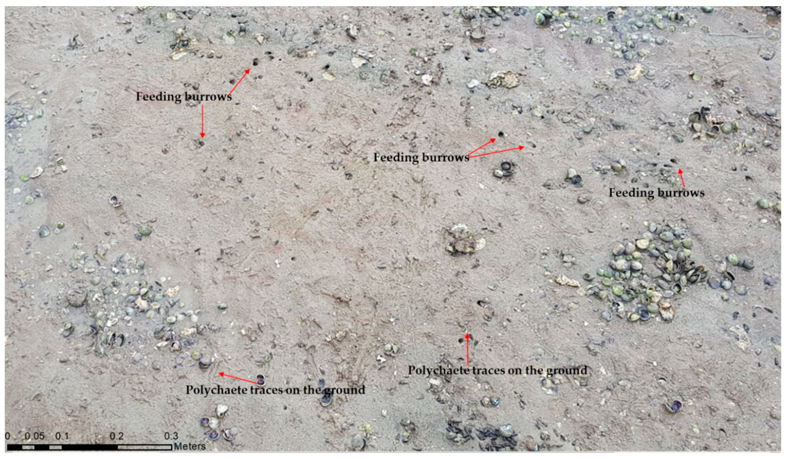 Remotesensing 14 00160 g004