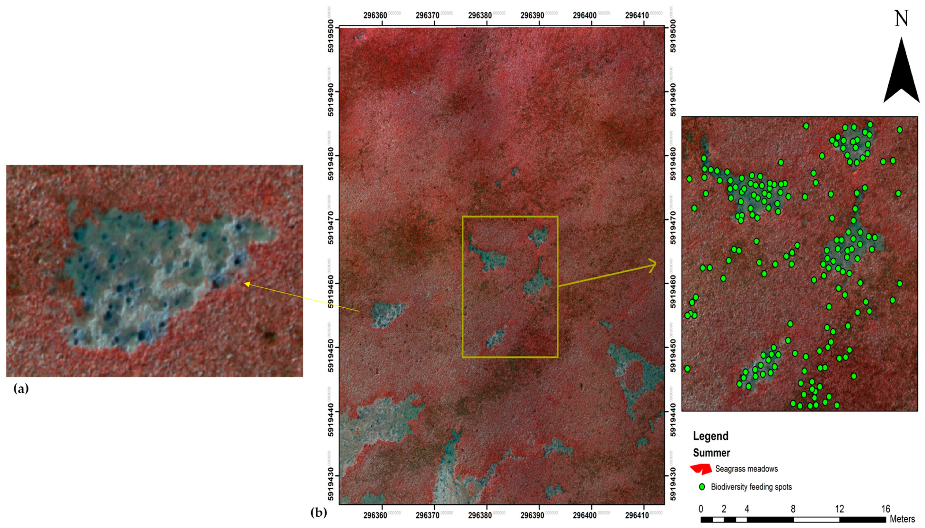 Remotesensing 14 00160 g005