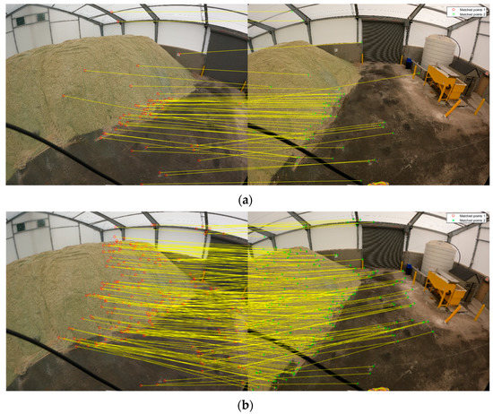 Image-Aided LiDAR Mapping Platform and Data Processing Strategy for ...