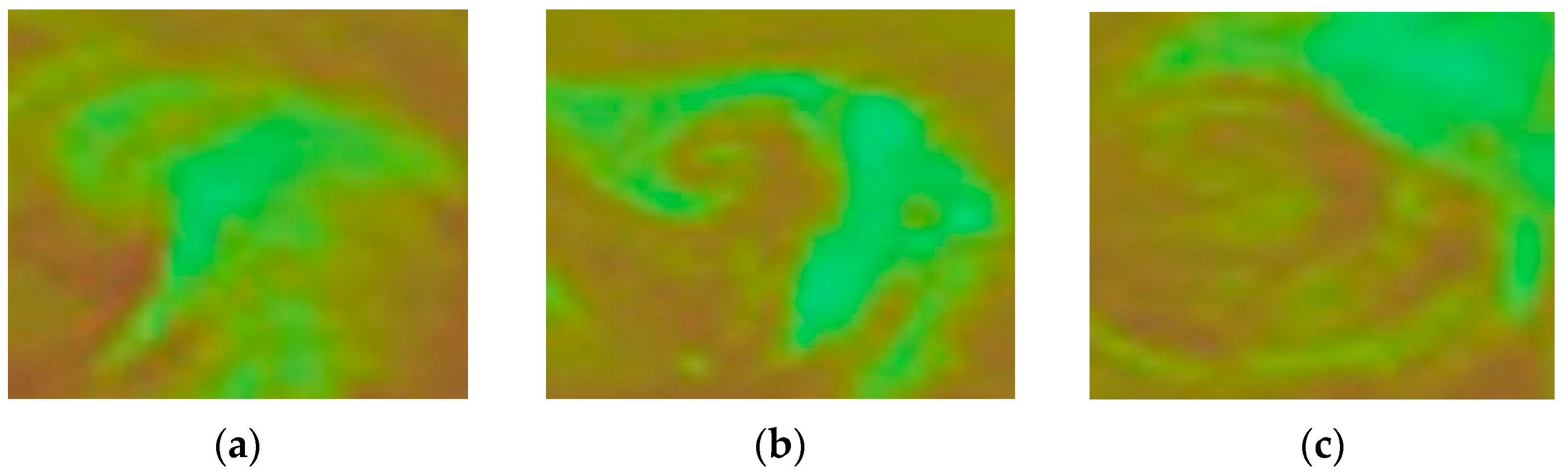 Remotesensing 14 00254 g002