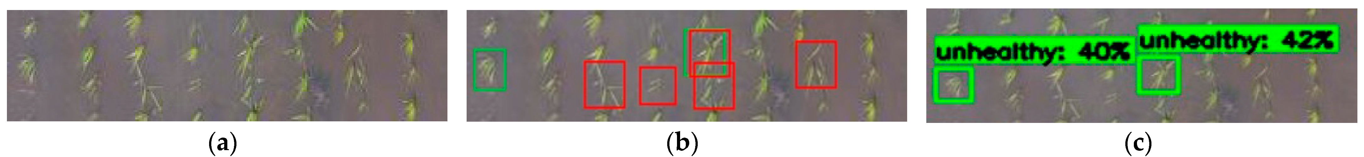 Remotesensing 14 00274 g010 550