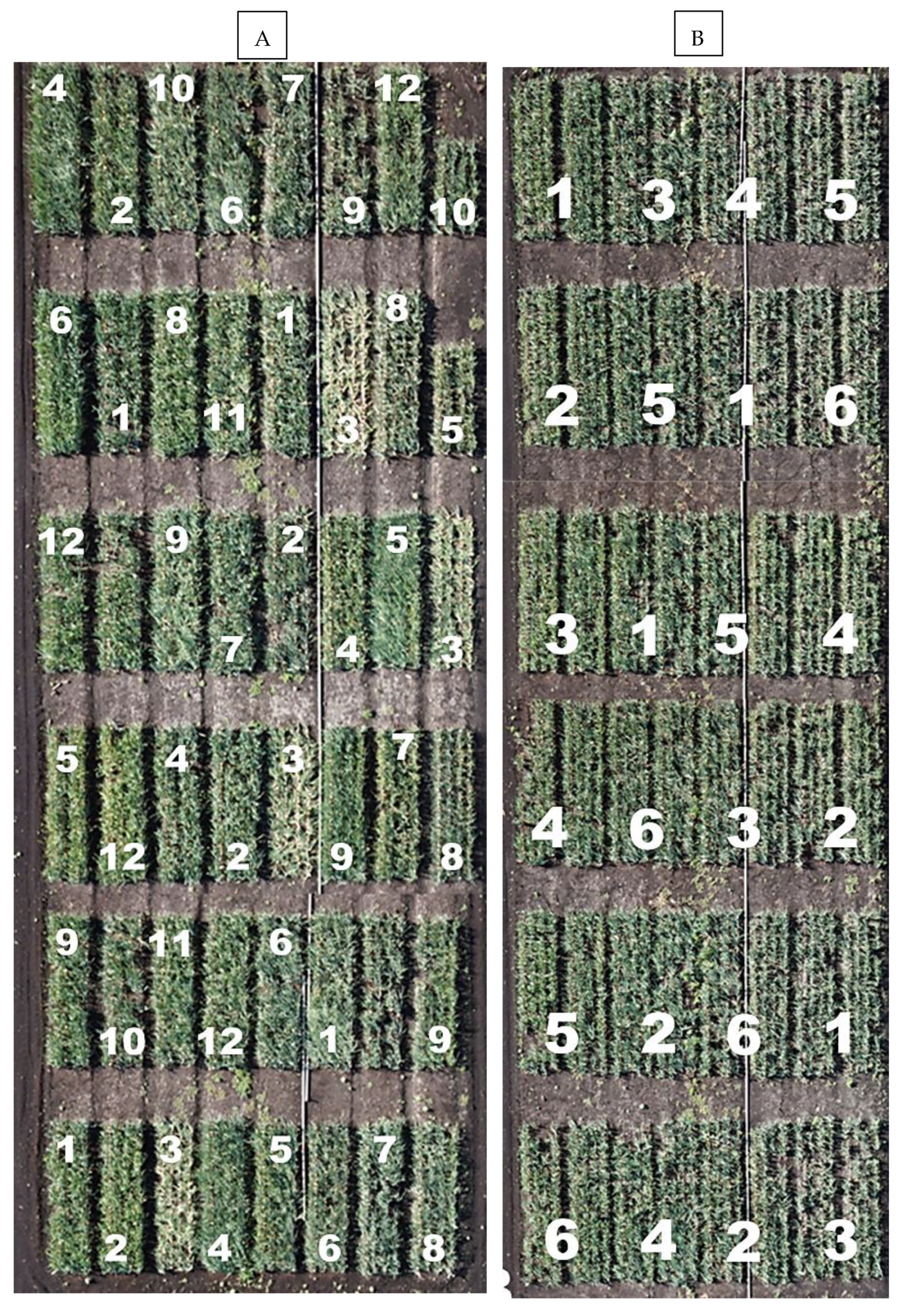 Remotesensing 14 00293 g001