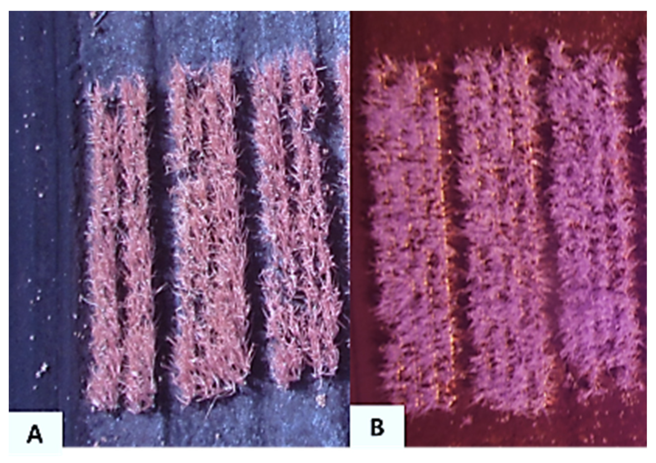 Remotesensing 14 00293 g003