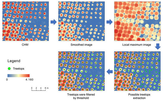 Comparison of Classical Methods and Mask R-CNN for Automatic Tree ...