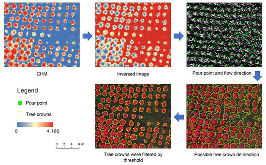 Comparison of Classical Methods and Mask R-CNN for Automatic Tree ...