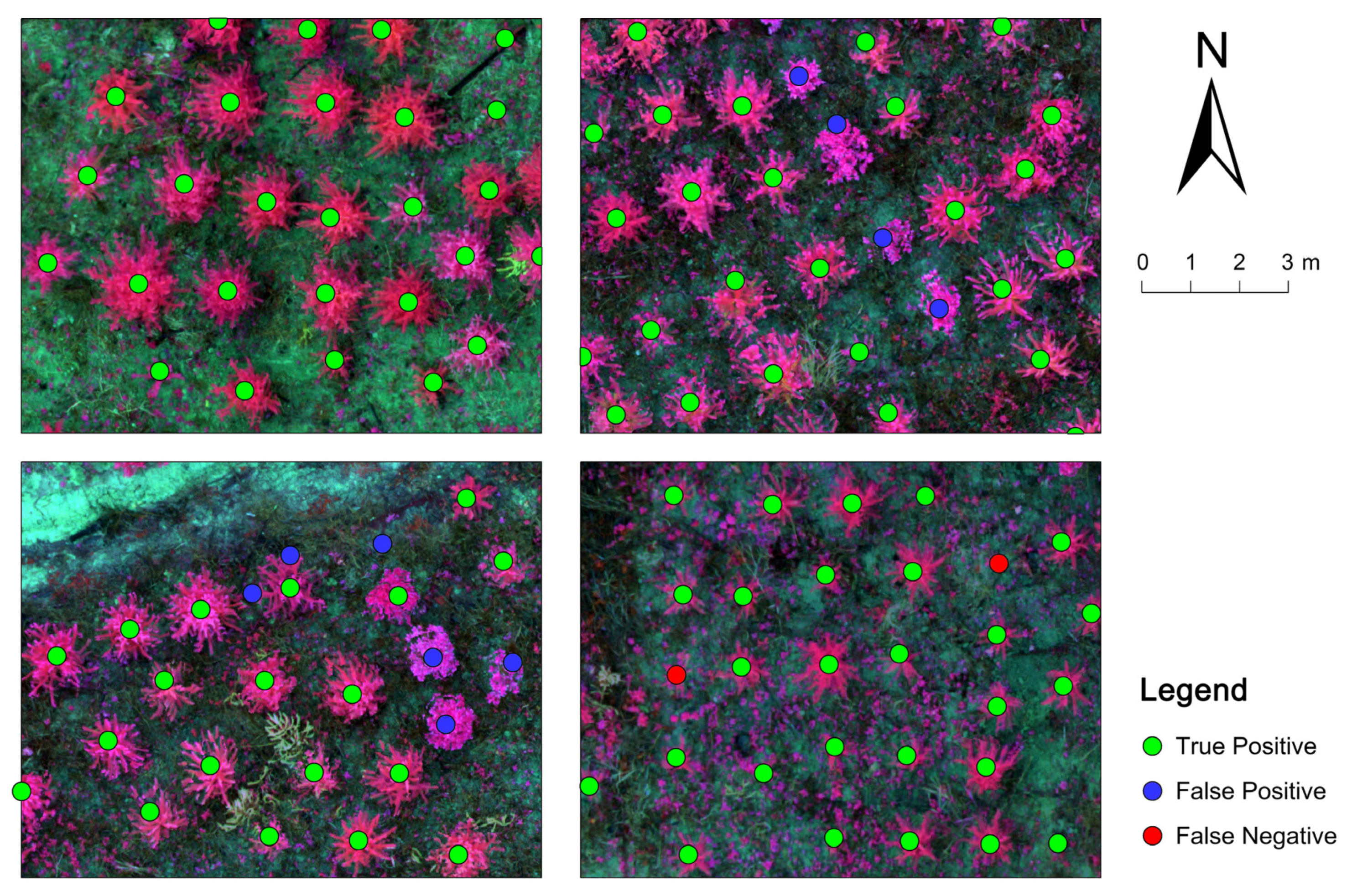 Remotesensing 14 00295 g005