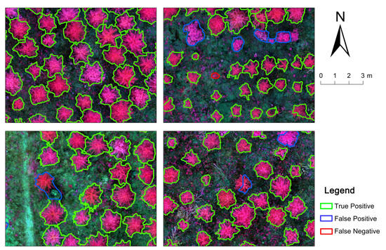 Comparison of Classical Methods and Mask R-CNN for Automatic Tree ...