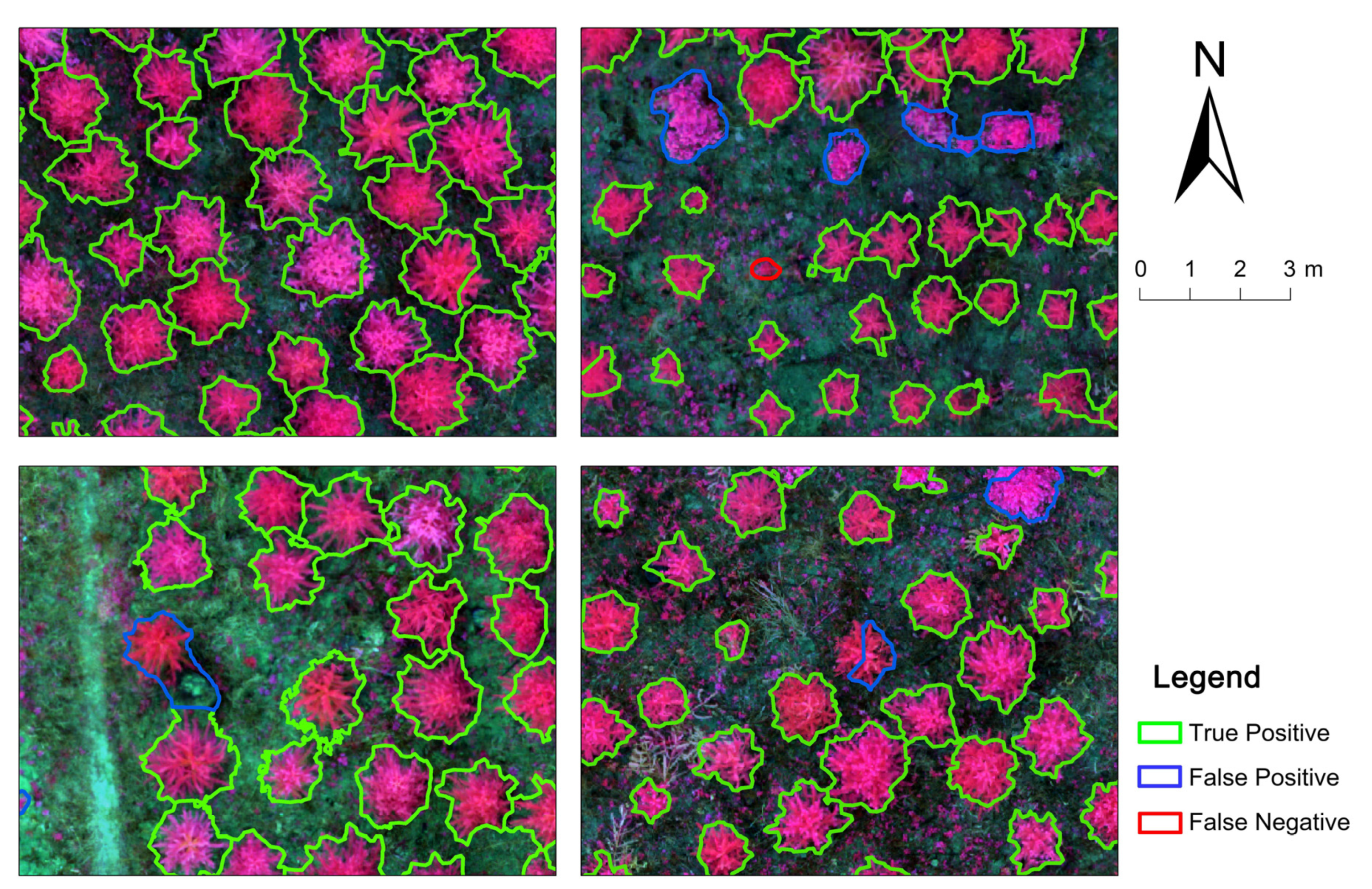 Remotesensing 14 00295 g006