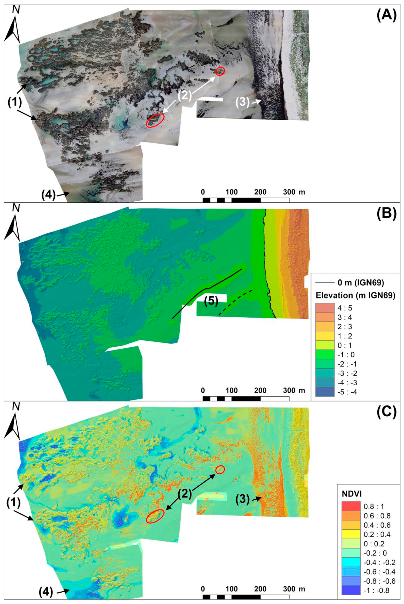Remotesensing 14 00307 g002