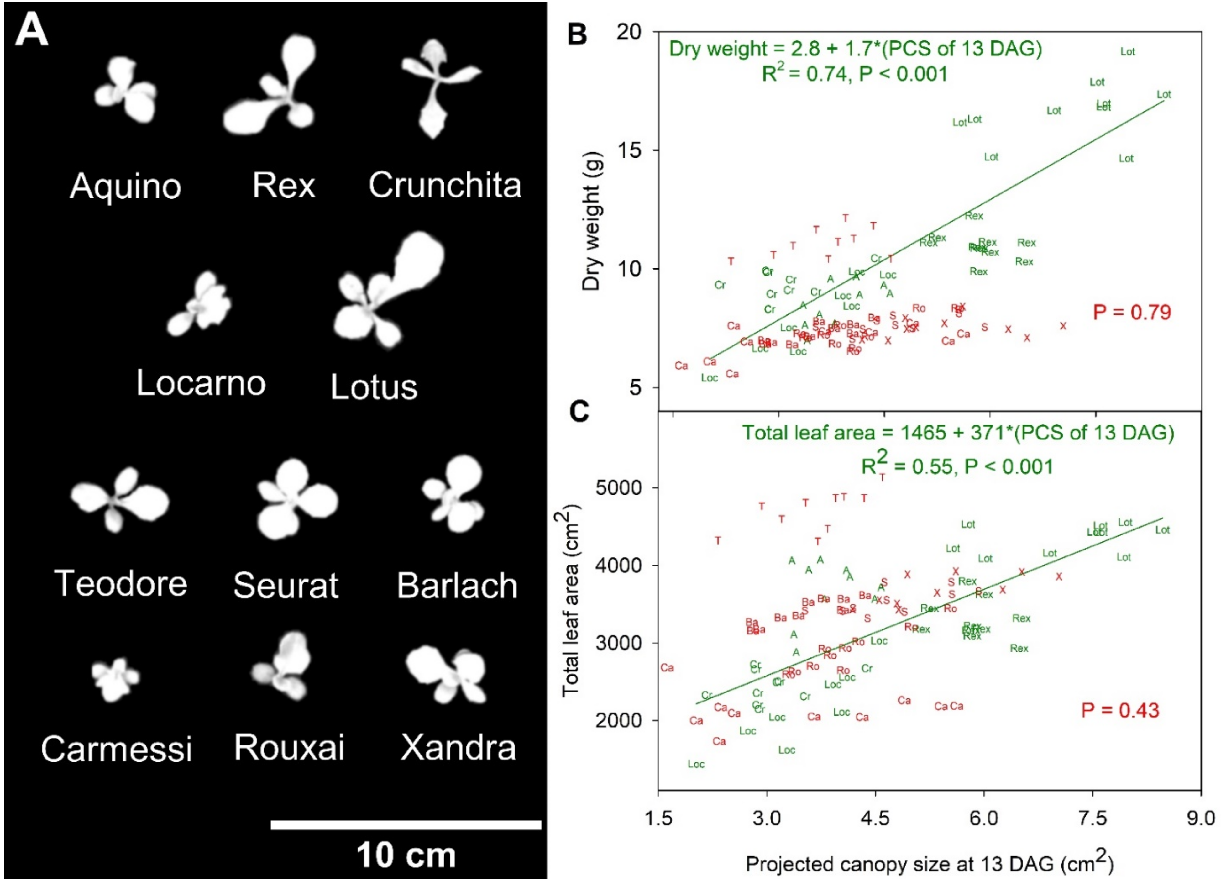 Remotesensing 14 00316 g004
