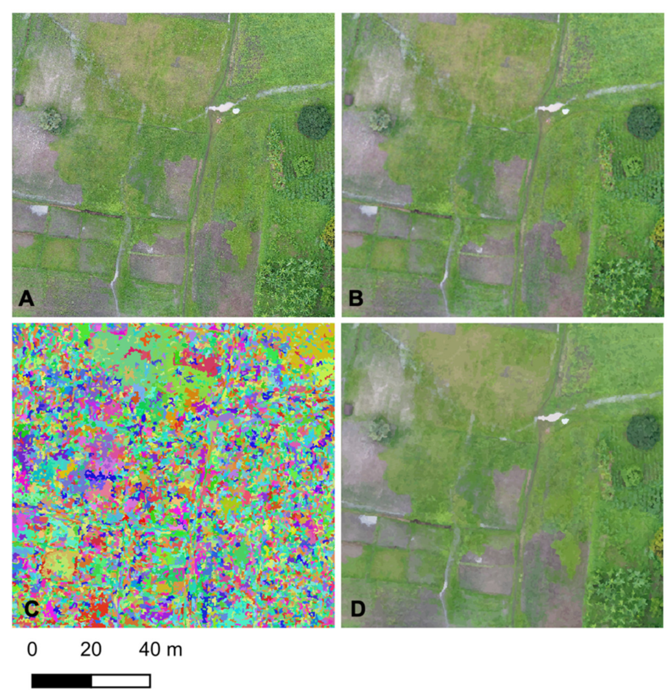 Remotesensing 14 00317 g002 550