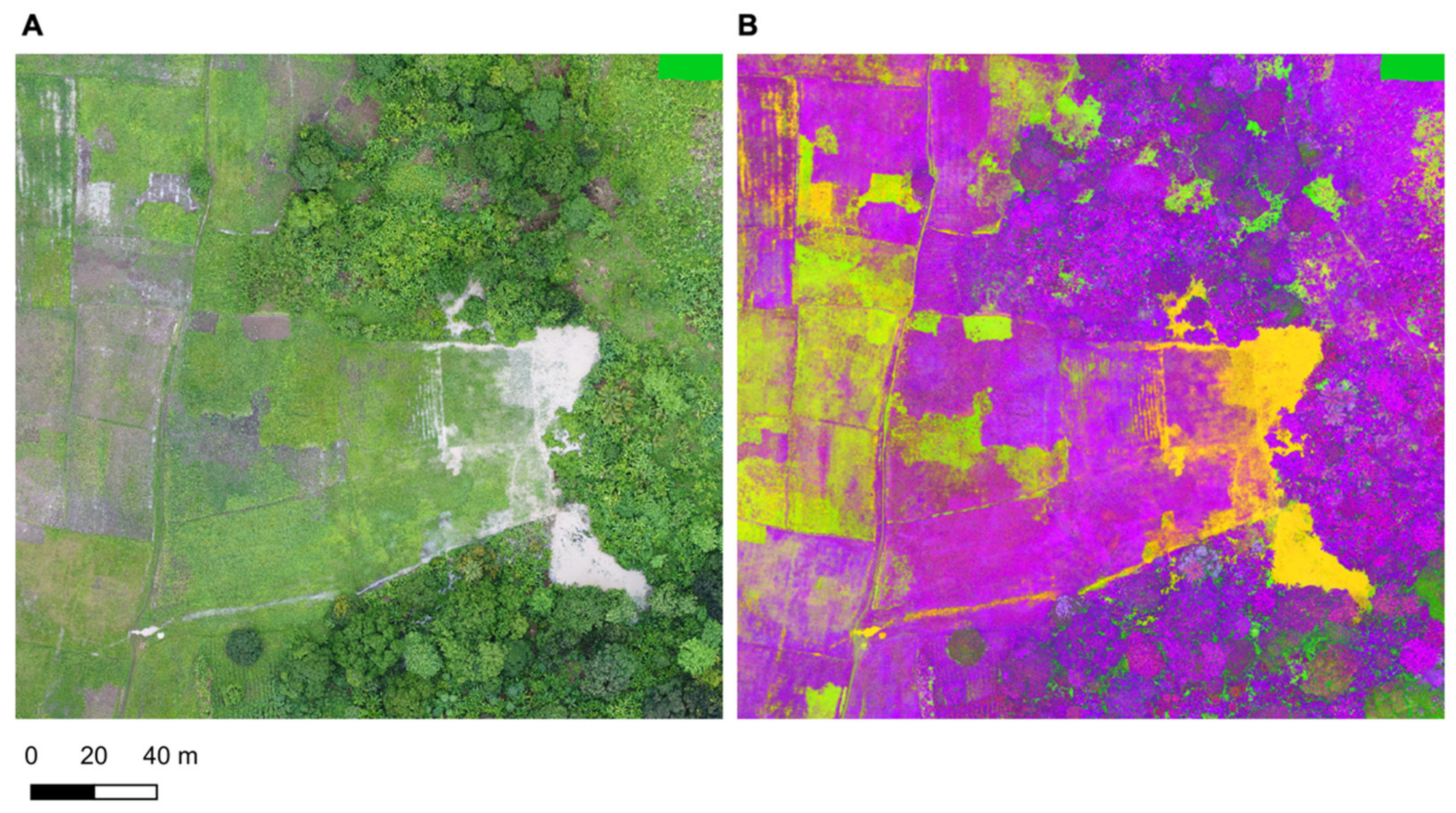 Remotesensing 14 00317 g004 550