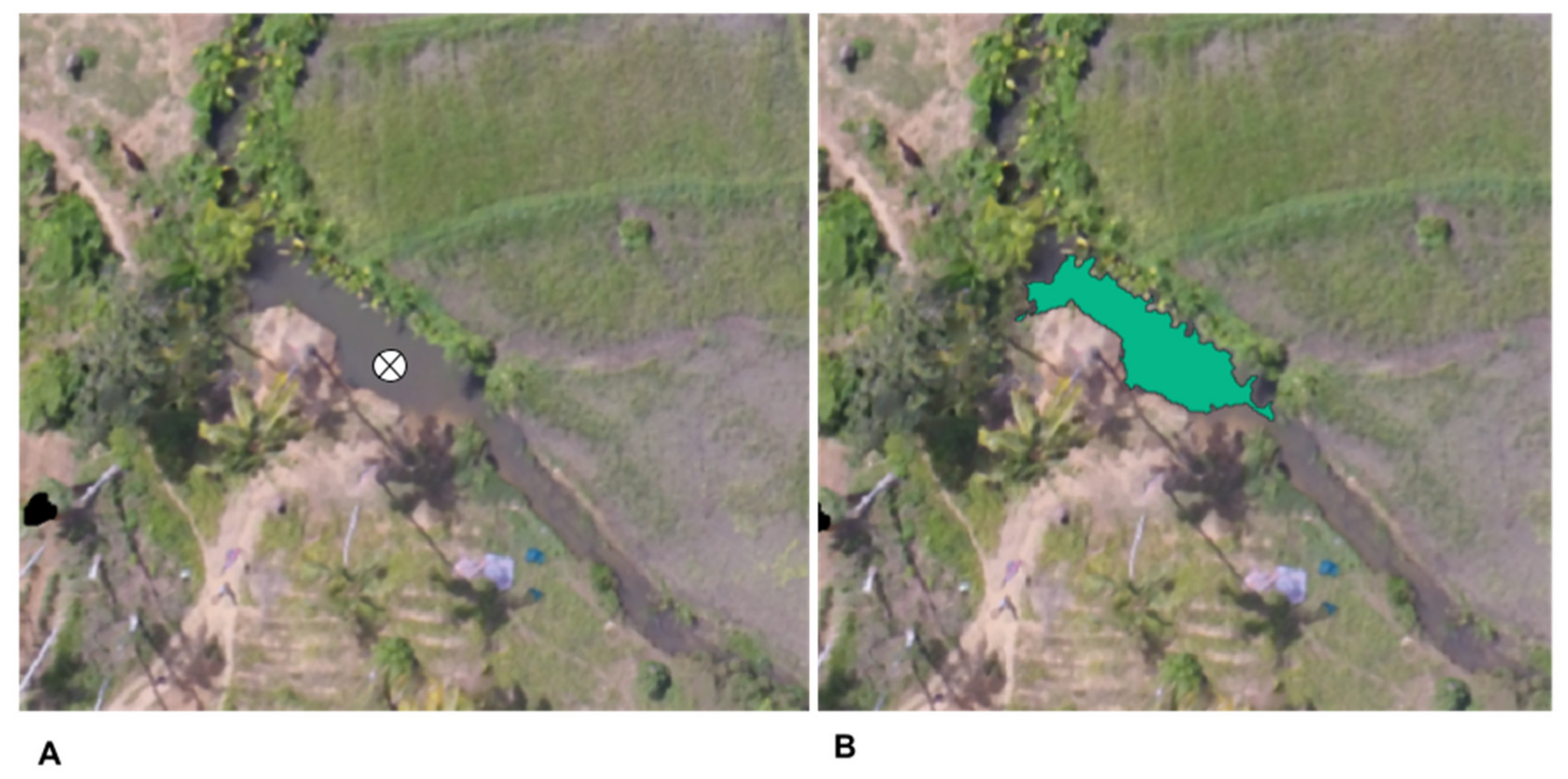 Remotesensing 14 00317 g005 550