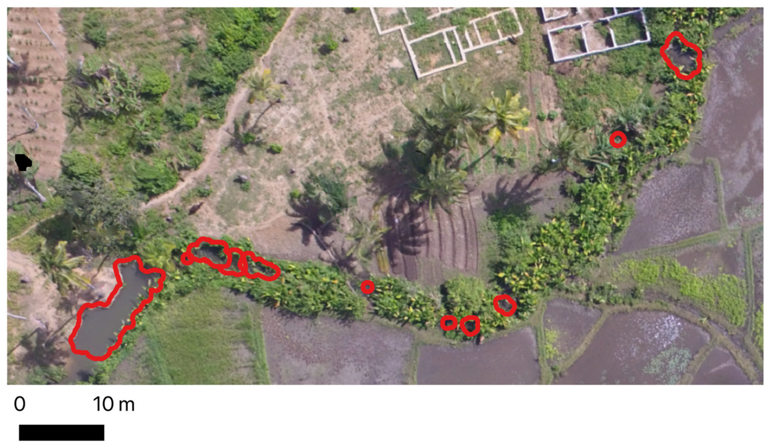 Remotesensing 14 00317 g008 550