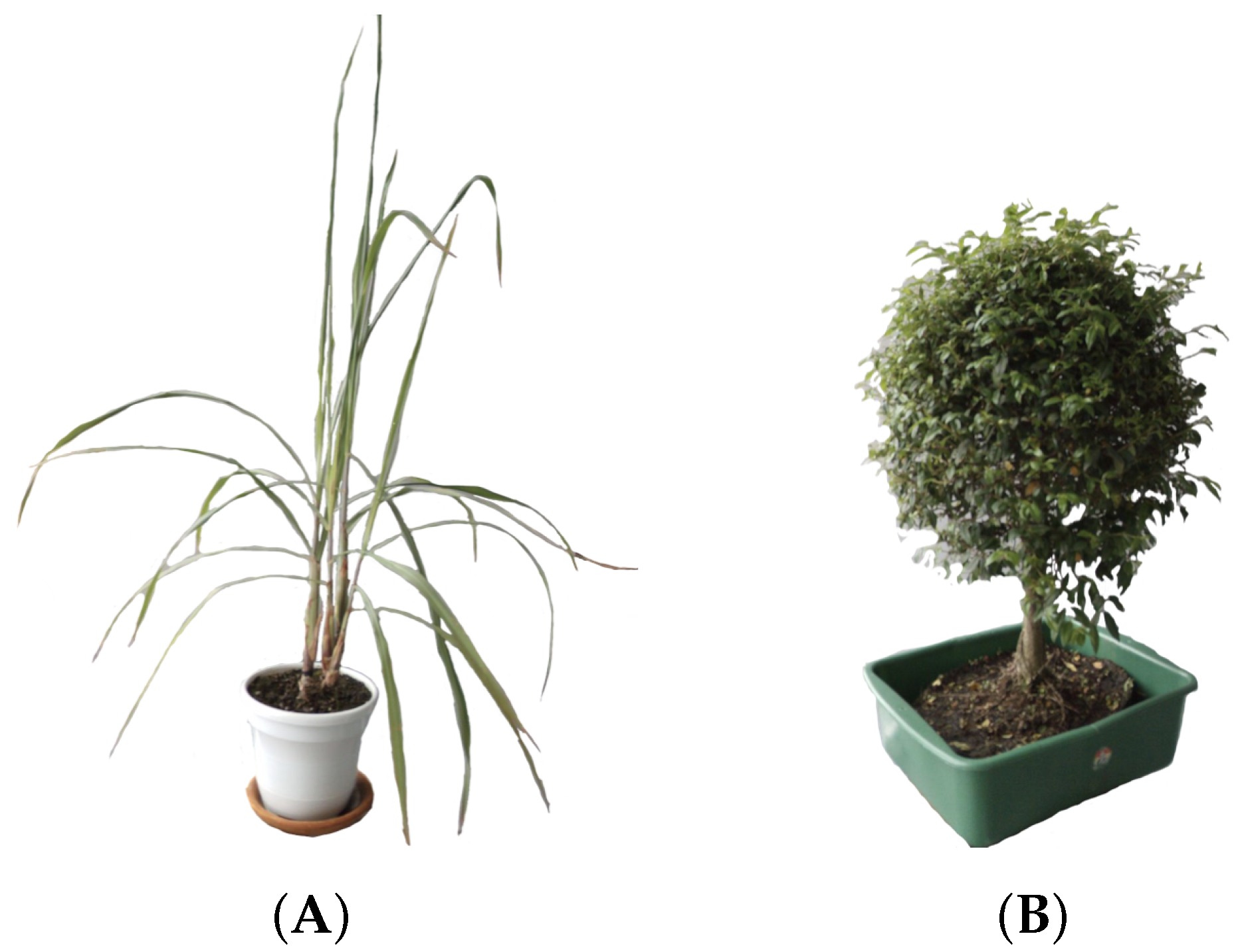 Remotesensing 14 00356 g003 550