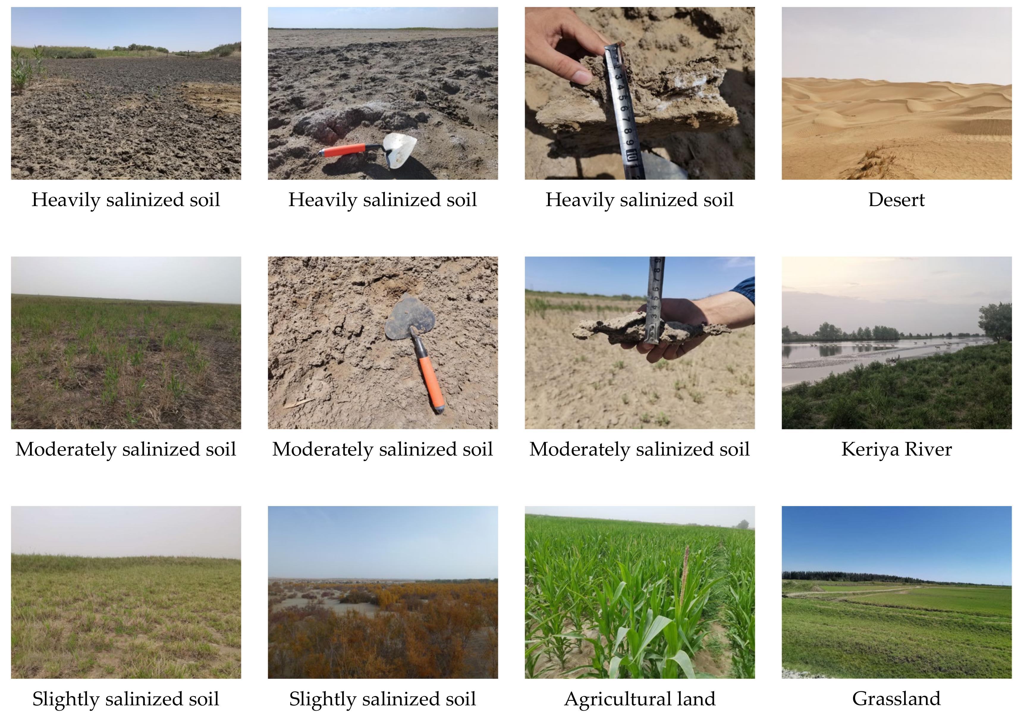 Remotesensing 14 00363 g003