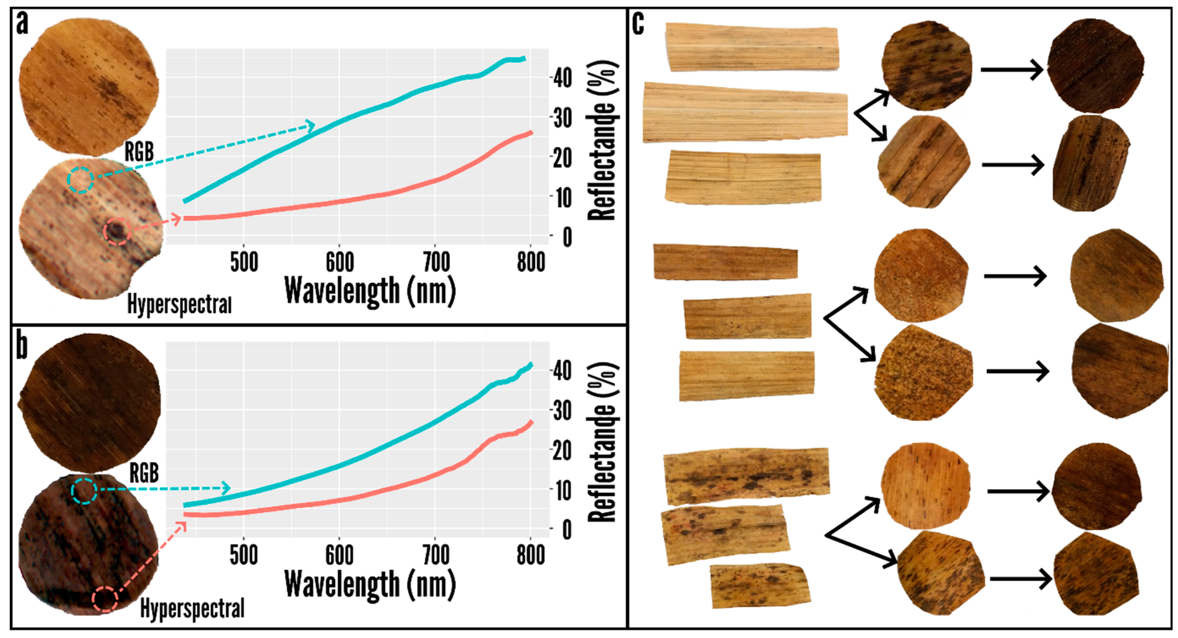 Remotesensing 14 00370 g003 550