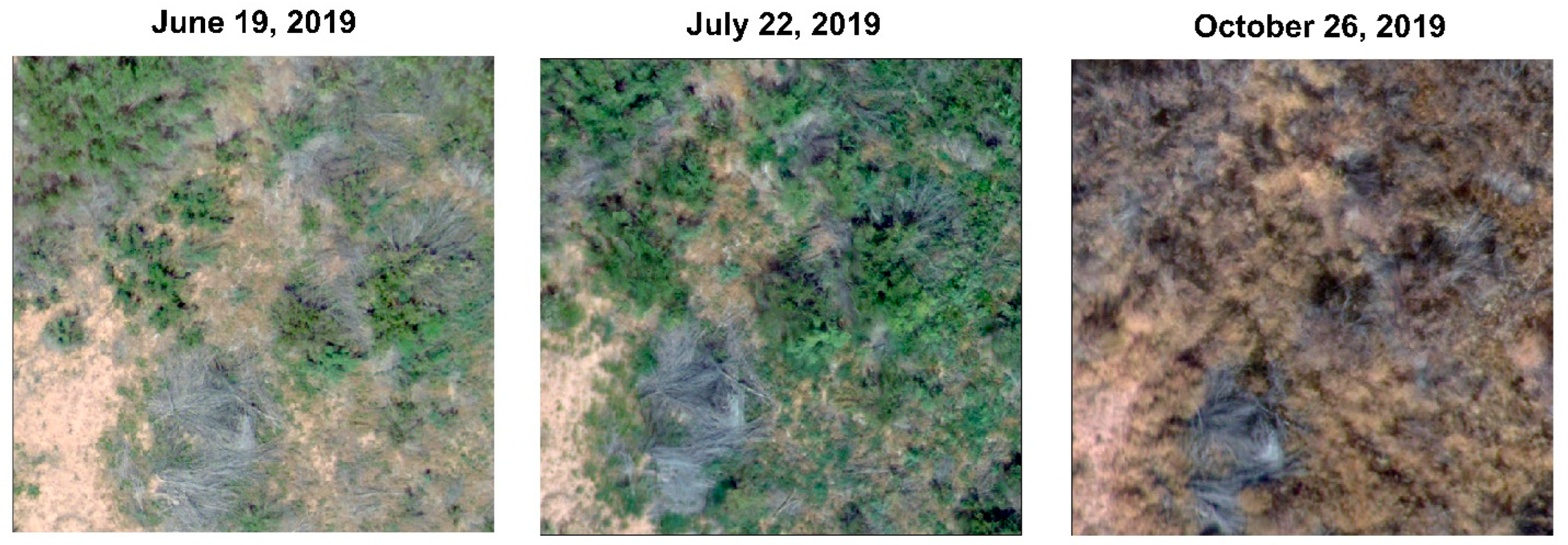 Remotesensing 14 00372 g015