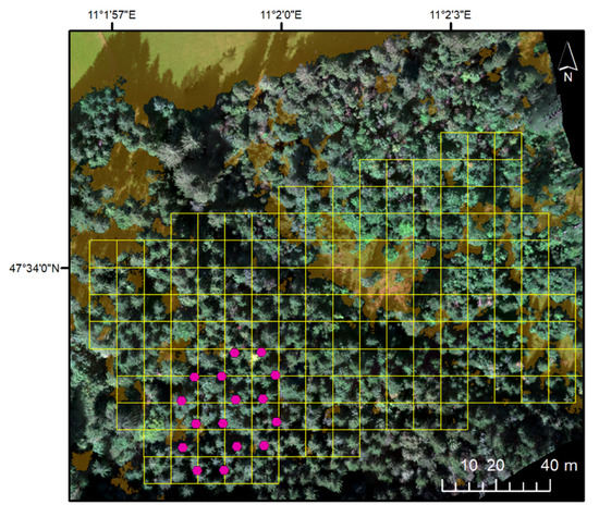 FO4, FO3 & Skyrim map size comparison (scaled to grid) : r/fo4