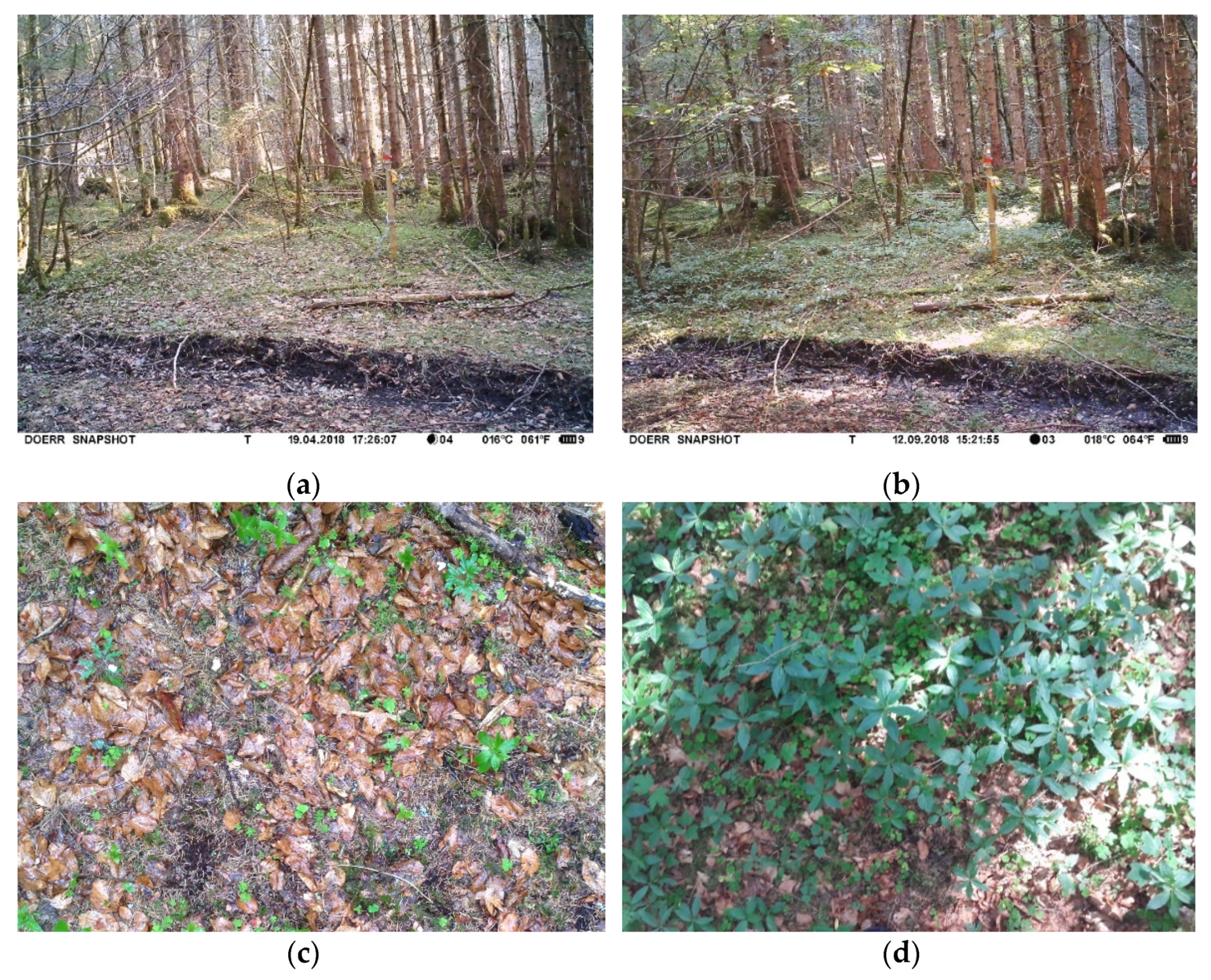 Remotesensing 14 00380 g0a1