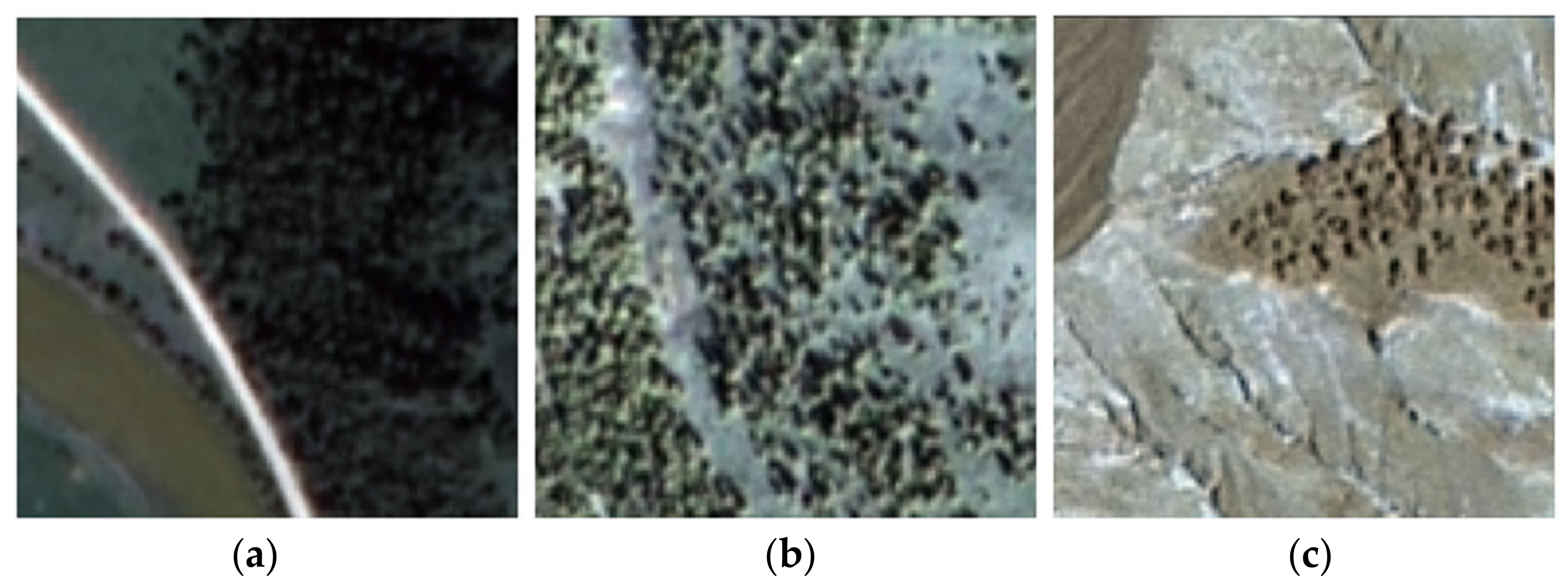 Remotesensing 14 00388 g001