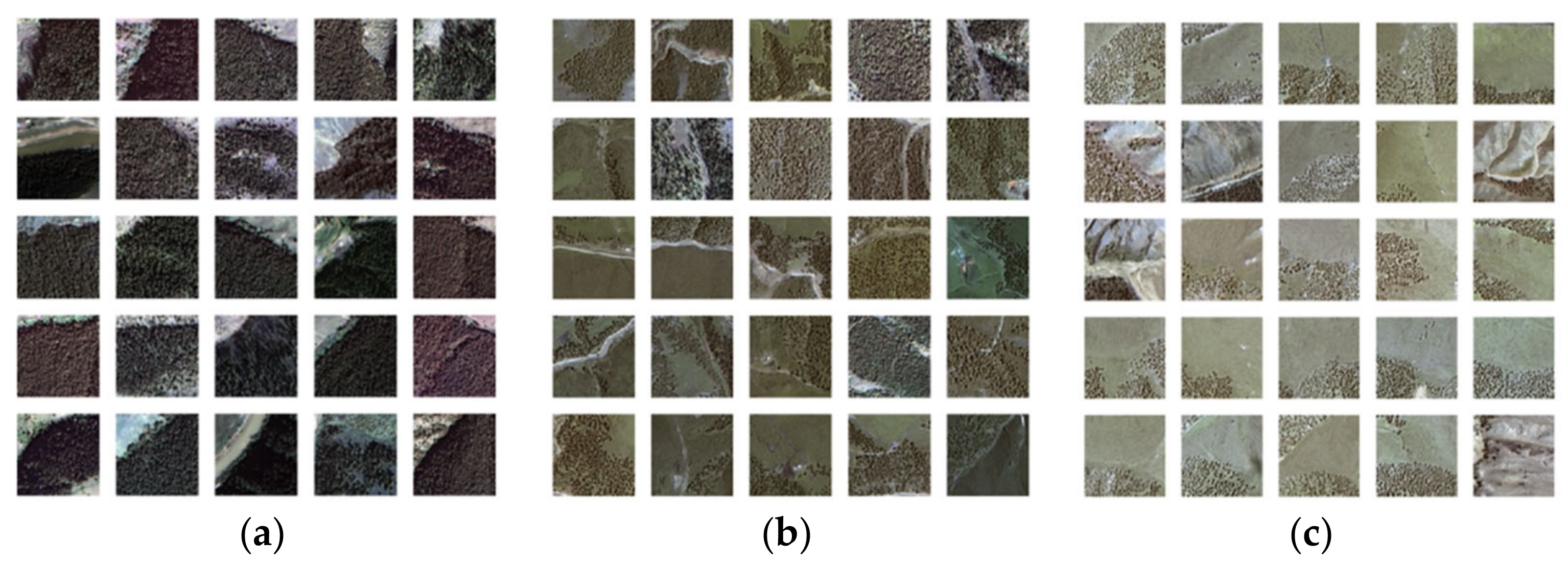 Remotesensing 14 00388 g005