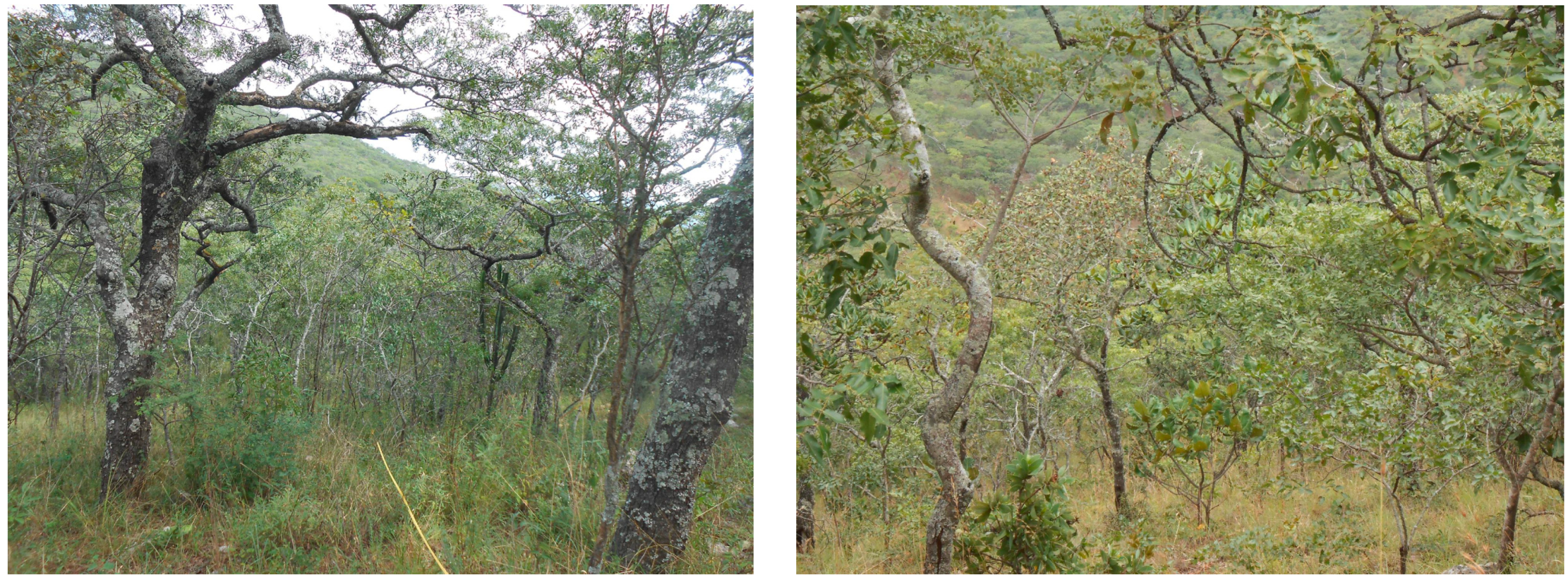 Remotesensing 14 00404 g001 550