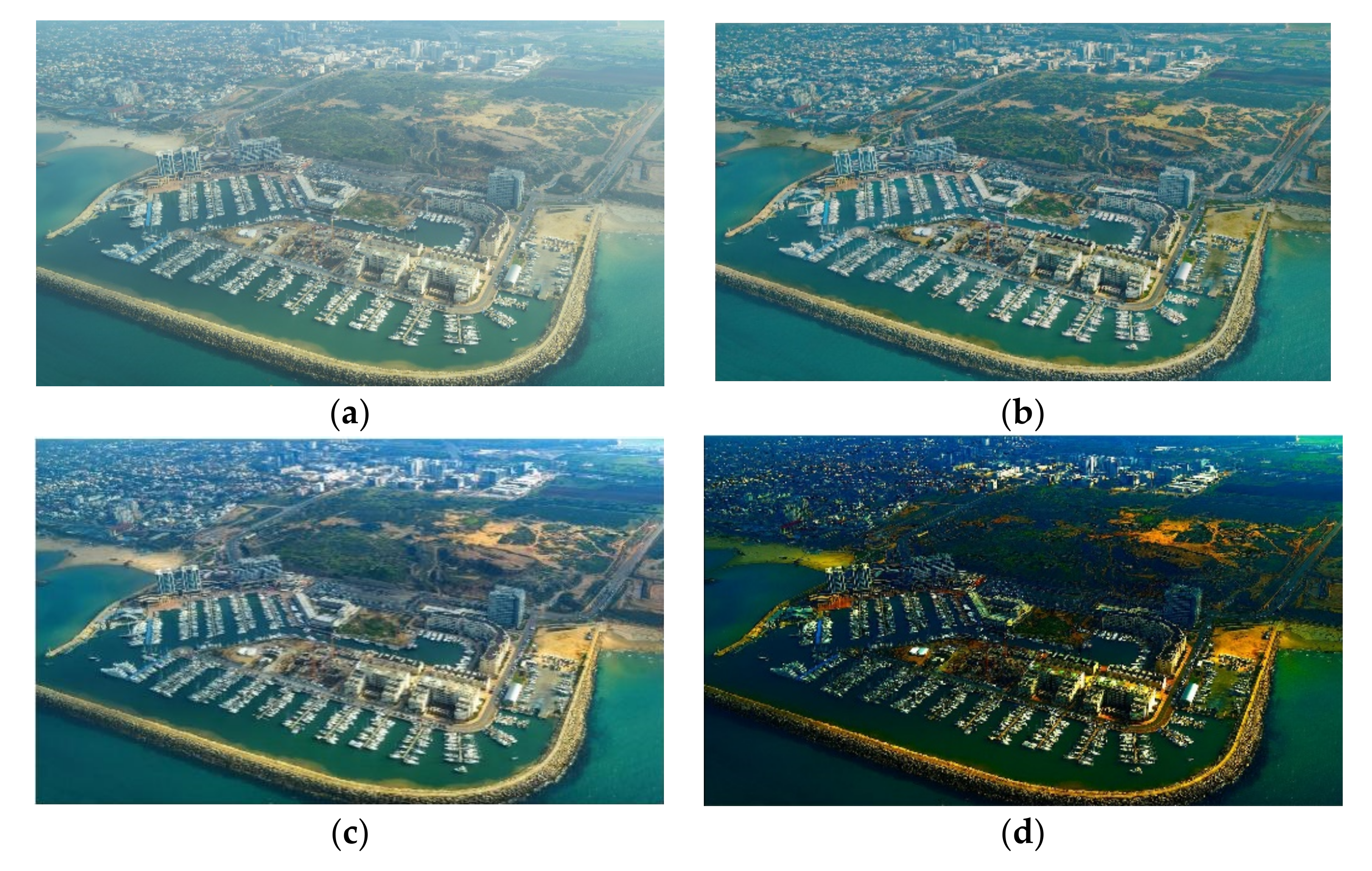 Remotesensing 14 00425 g016a