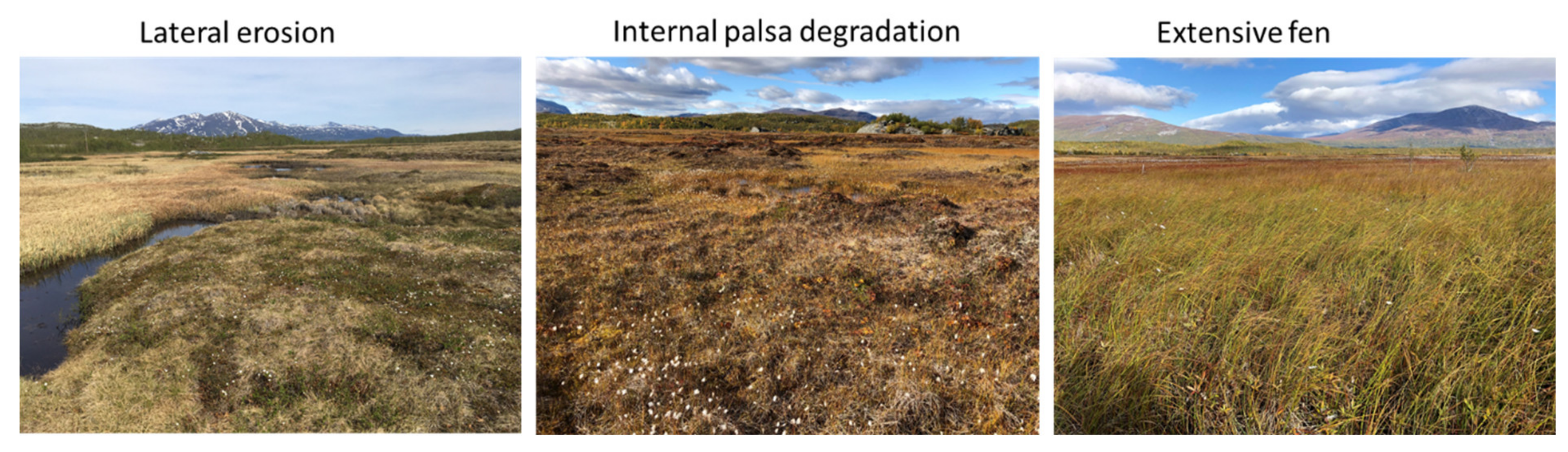 Remotesensing 14 00444 g002