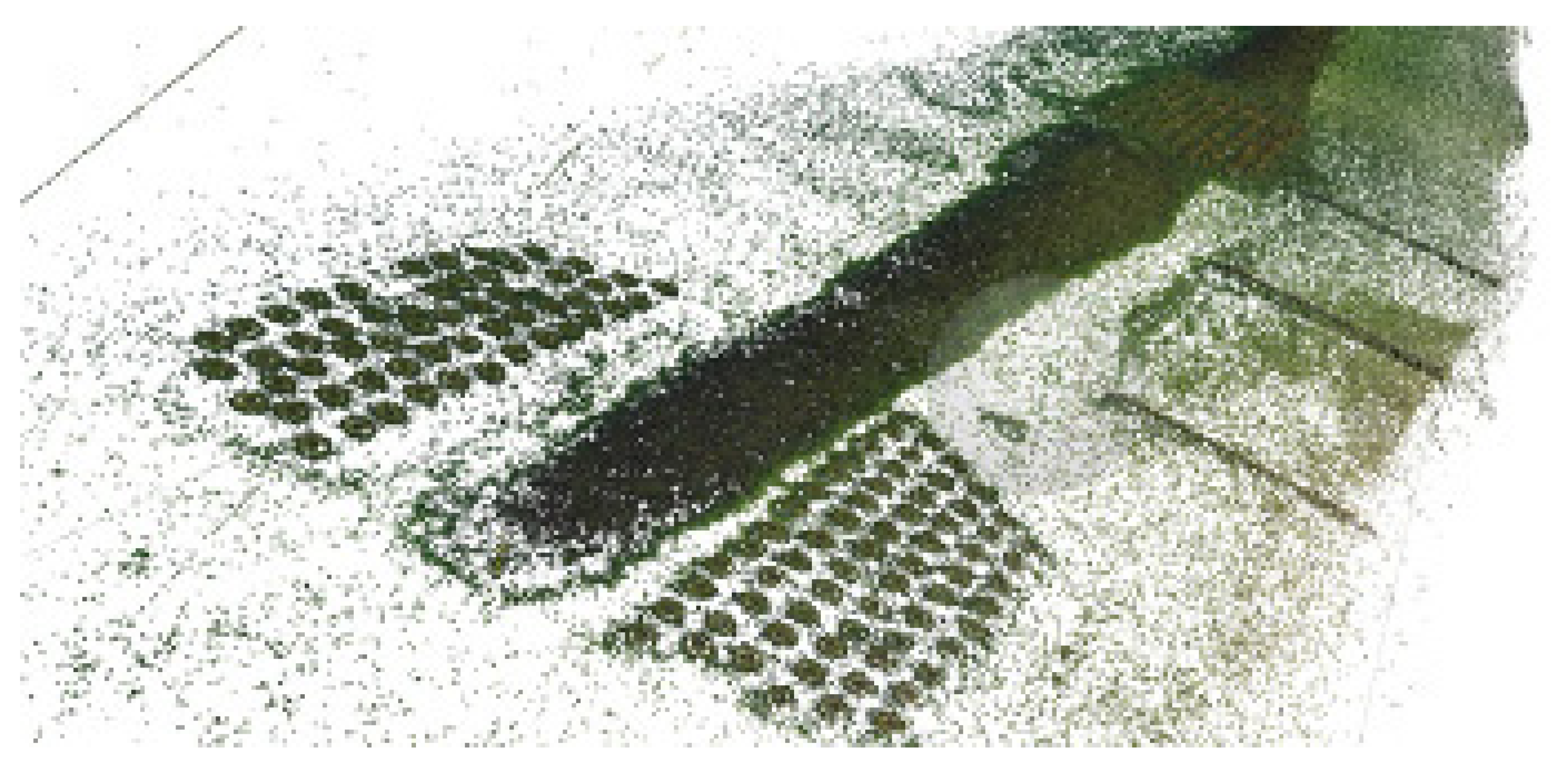 Remotesensing 14 00458 g005