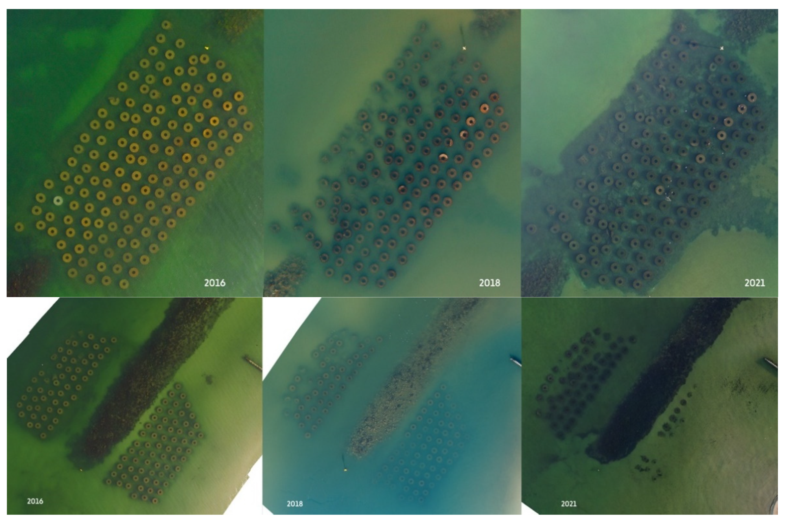 Remotesensing 14 00458 g006