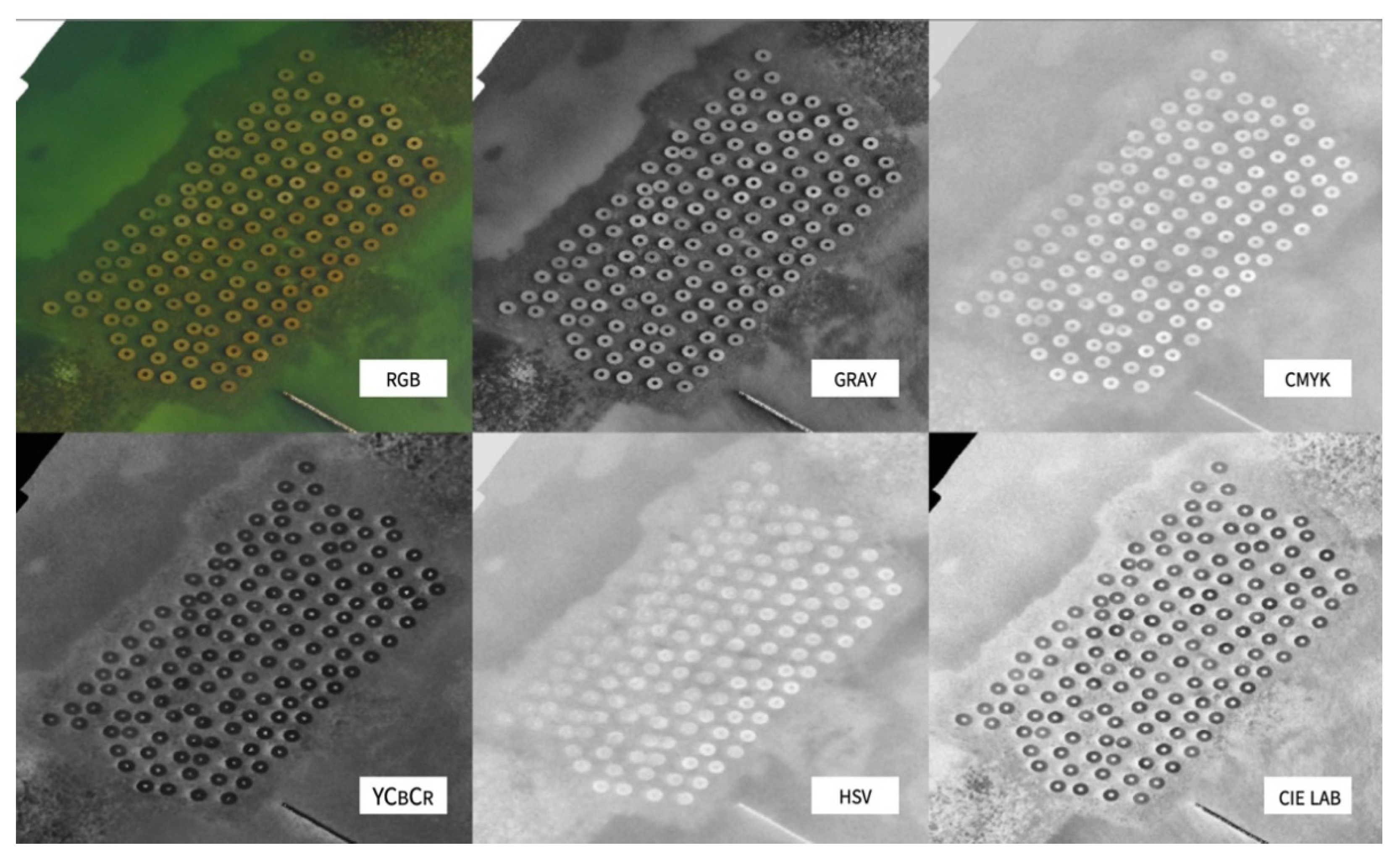 Remotesensing 14 00458 g008