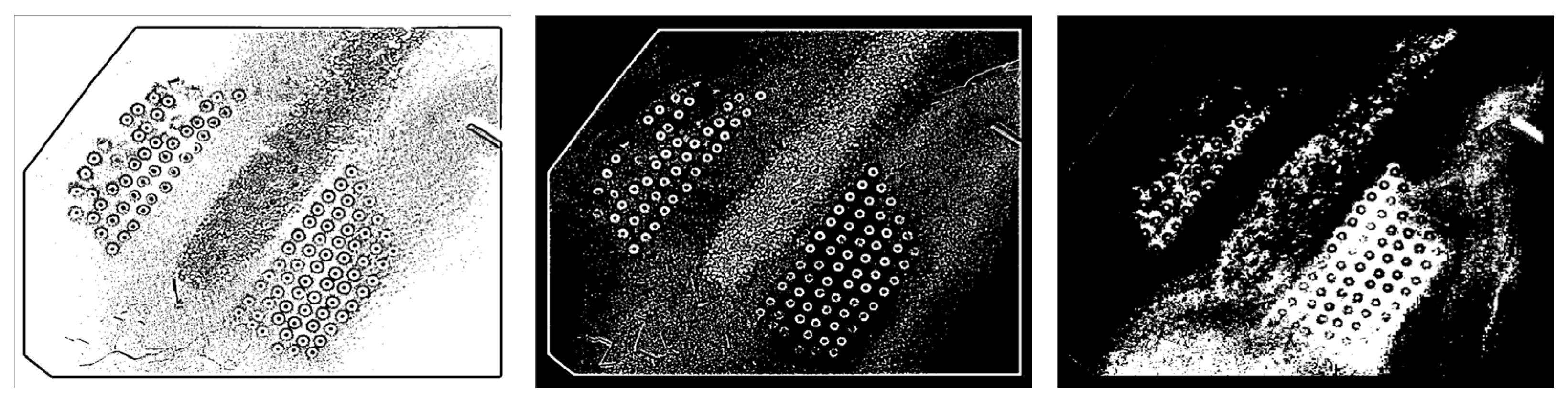 Remotesensing 14 00458 g010